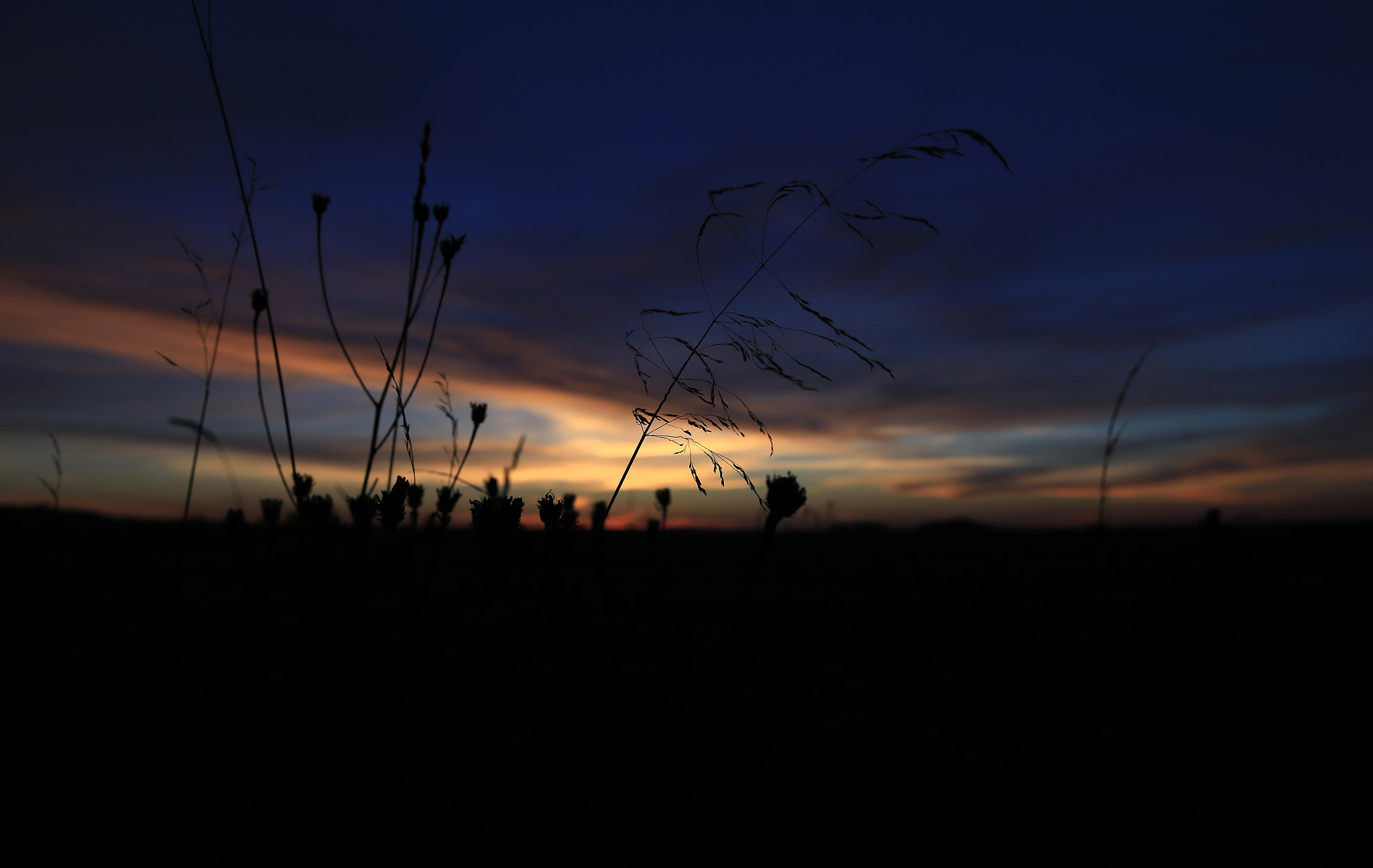 Canon EOS 6D sample photo. Sunset at the biebrza park (poland) photography