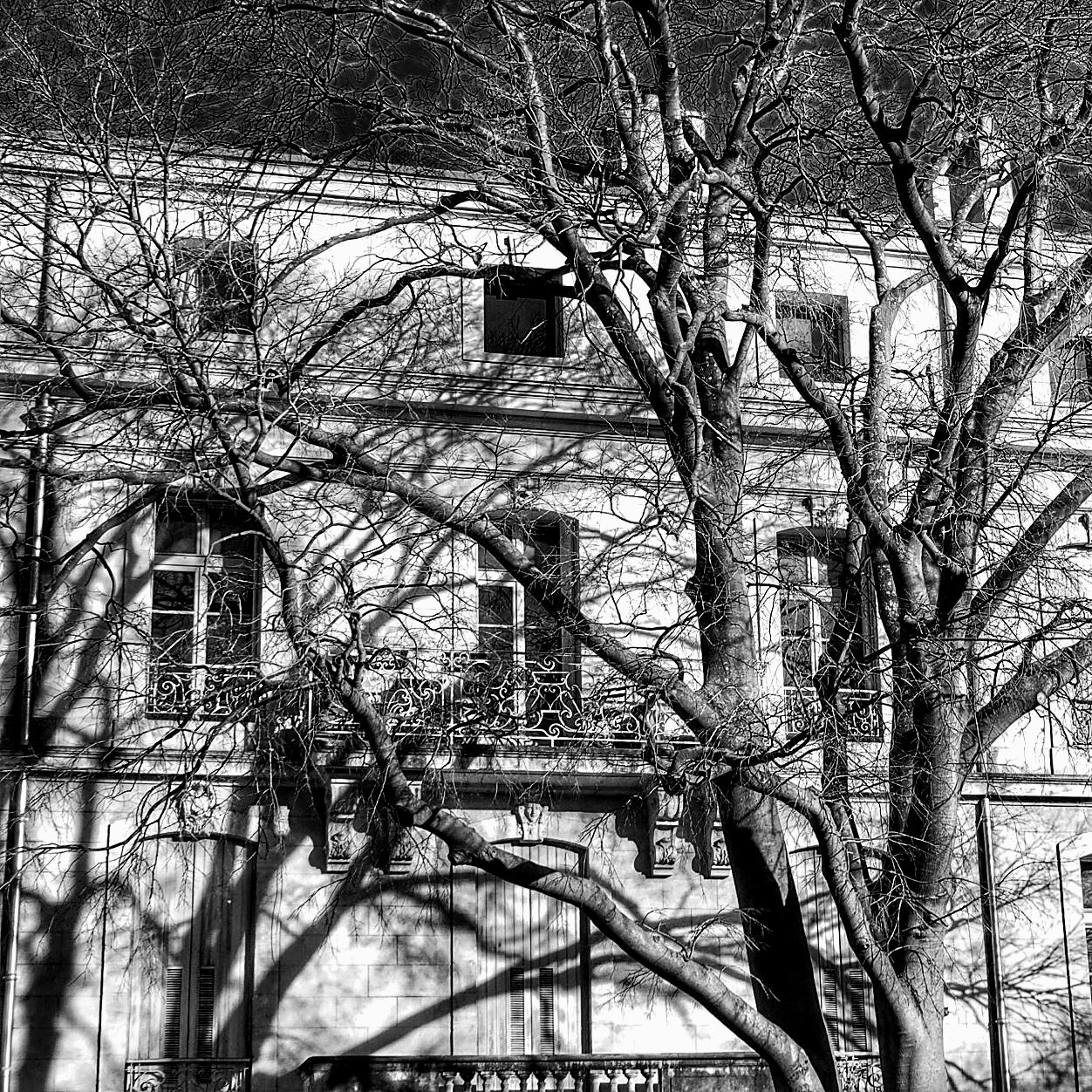 Olympus STYLUS1 sample photo. Canelle  photography