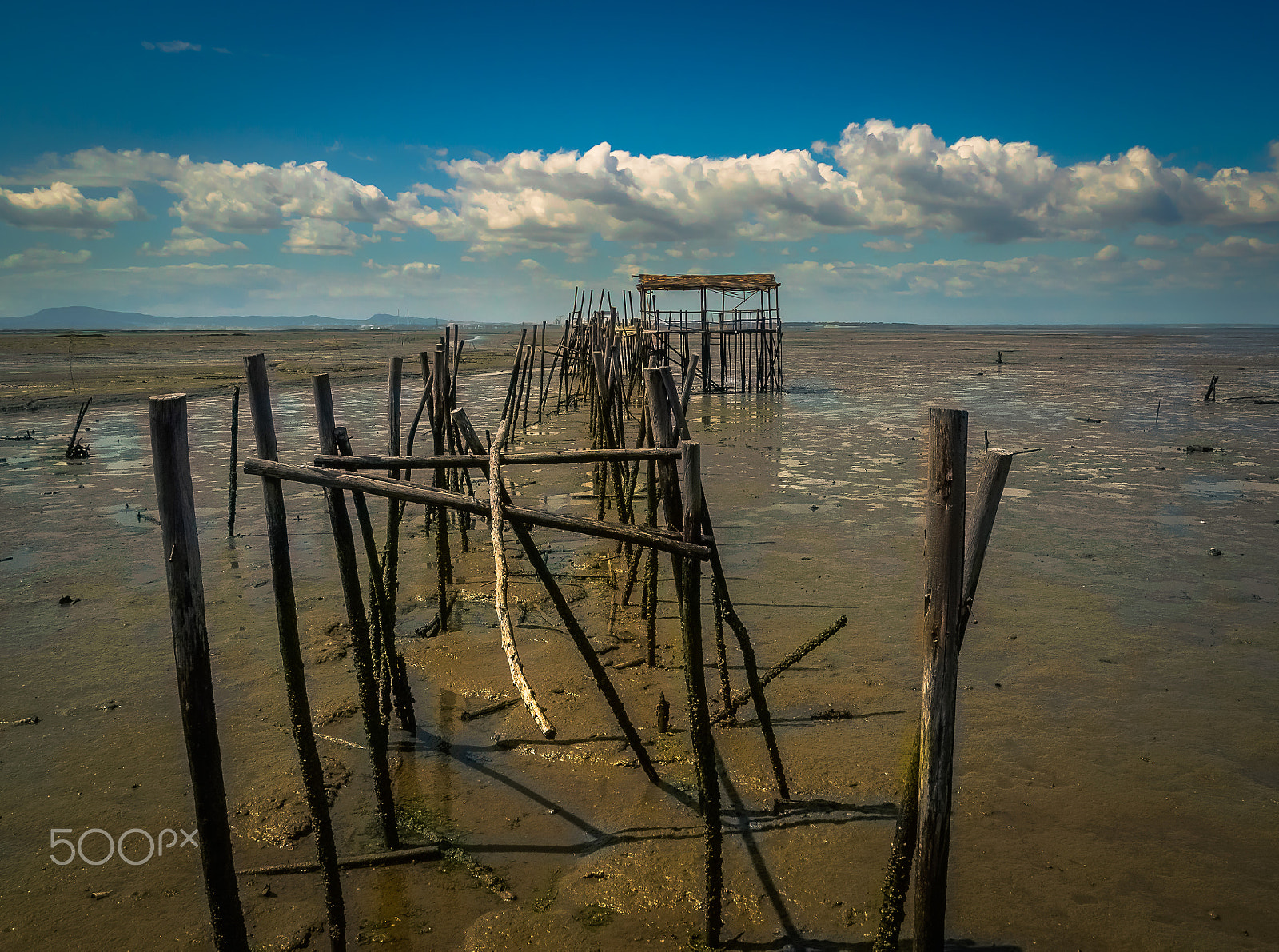 Olympus M.Zuiko Digital 14-42mm F3.5-5.6 II R sample photo. Carrasqueira low tide photography