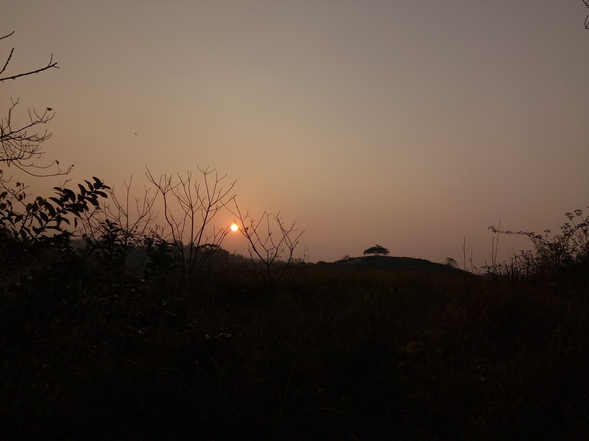 OPPO A37M sample photo