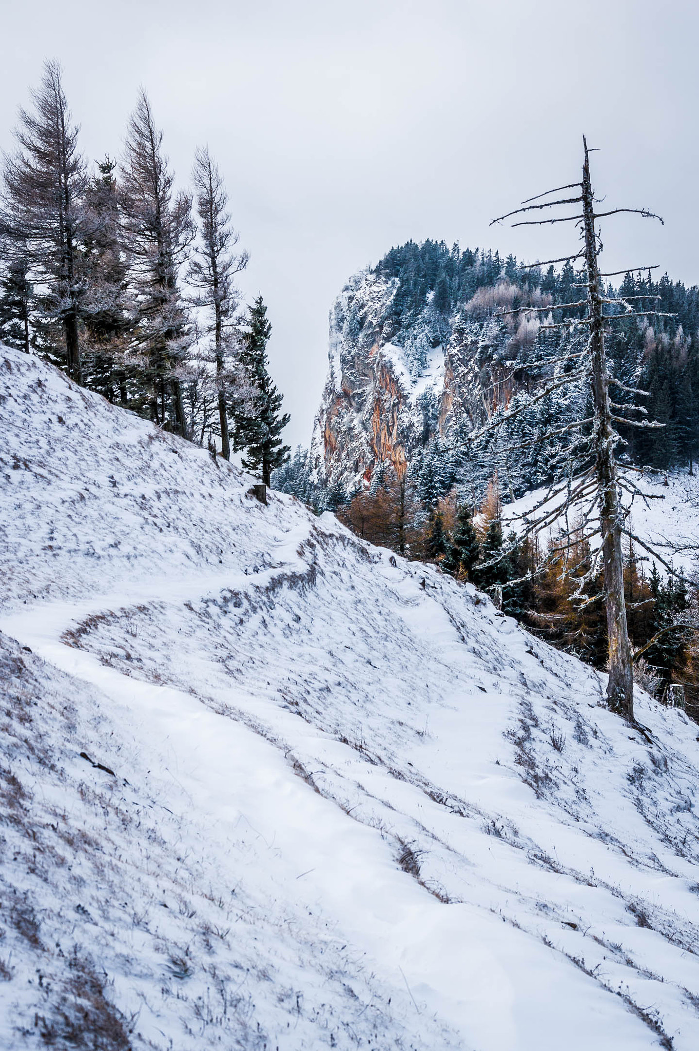Pentax K-3 II sample photo. Winter photography