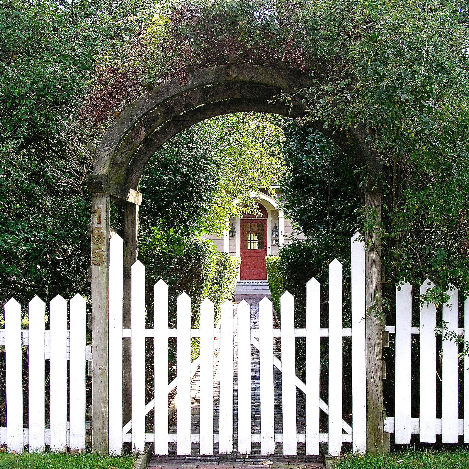 Olympus C5050Z sample photo. Portal to magical garden photography