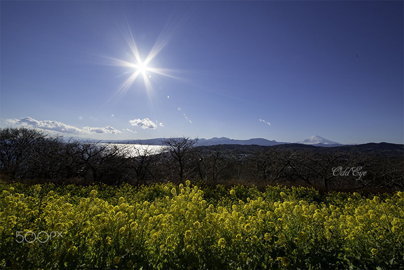 Sigma 12-24mm F4.5-5.6 II DG HSM sample photo. Mt.fuji photography