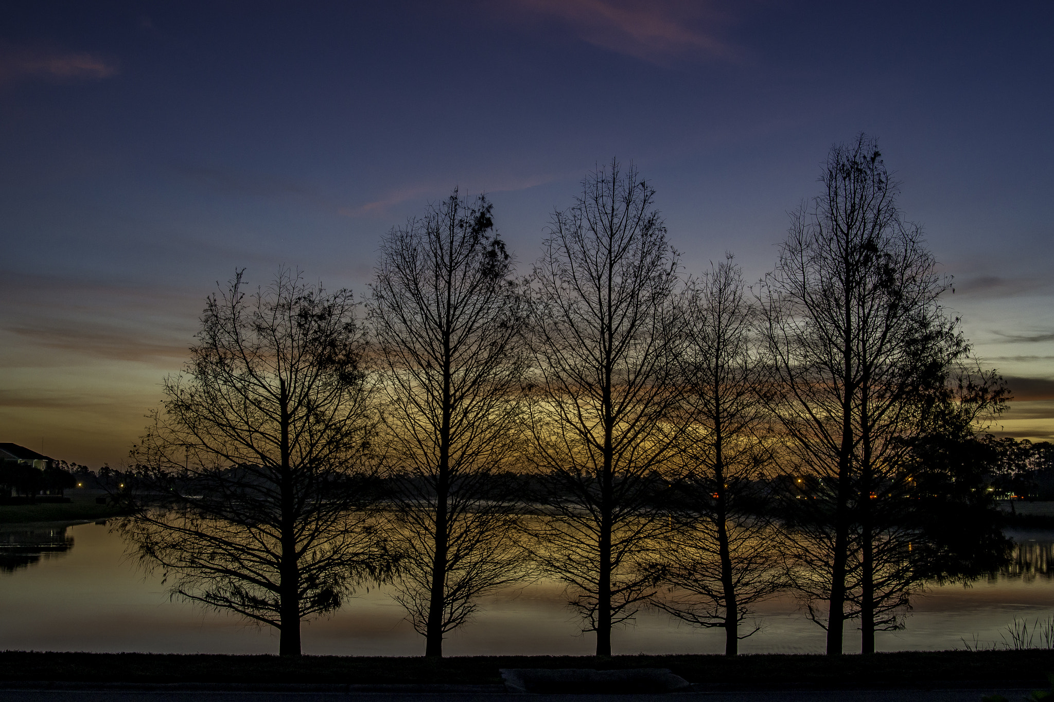 Nikon D800 sample photo. Tree line sunrise photography