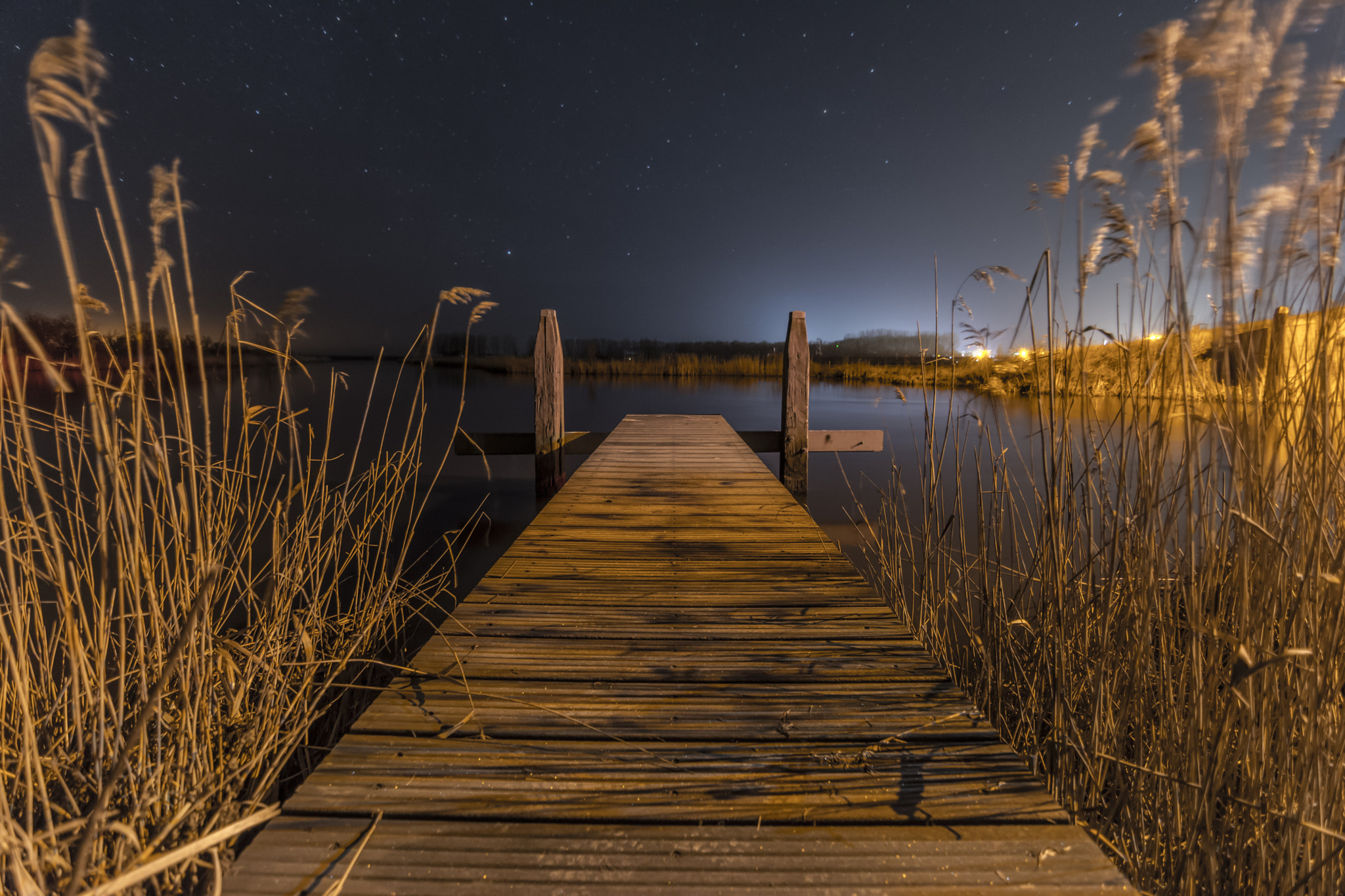 Tokina AT-X Pro 11-16mm F2.8 DX sample photo. To the stars photography