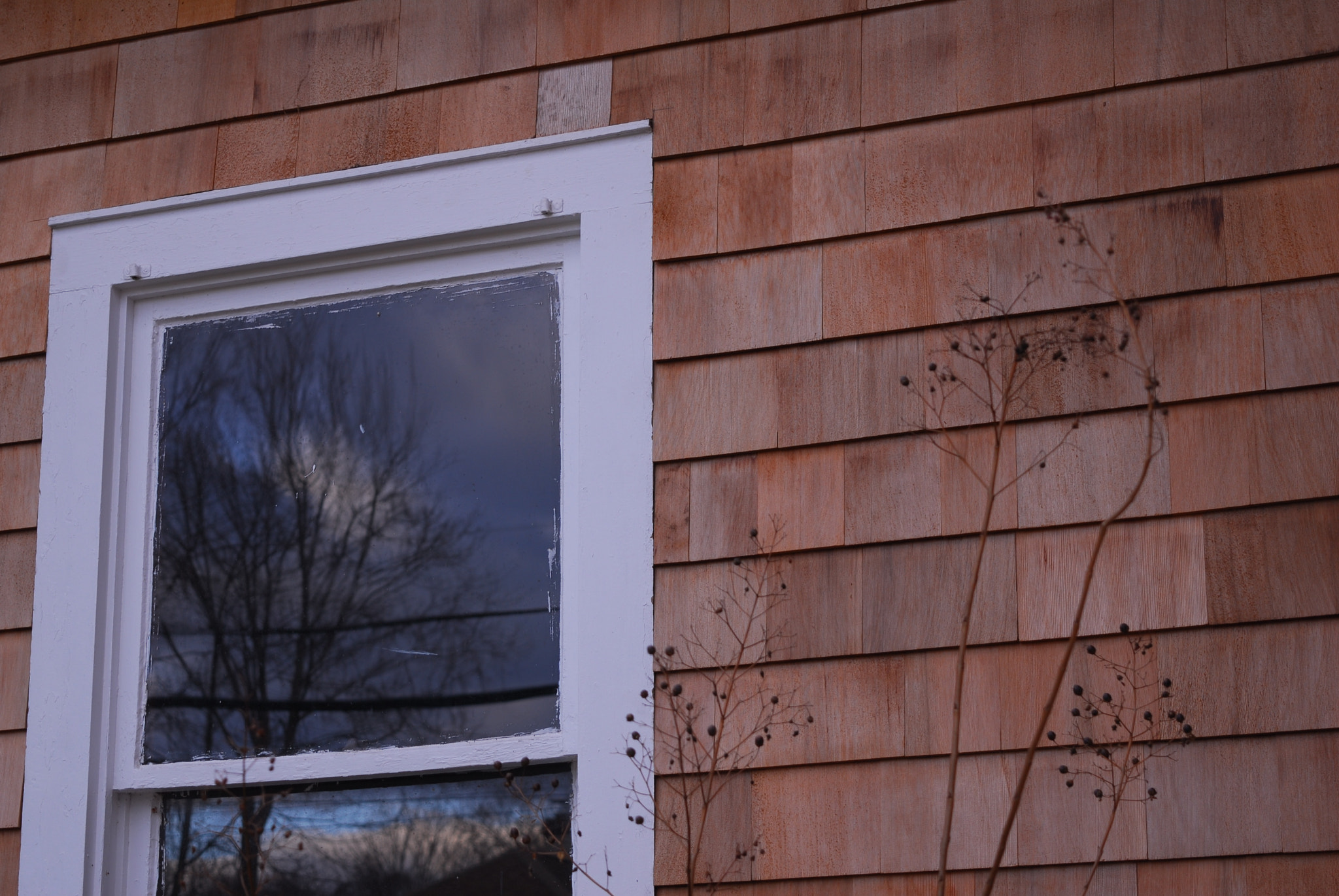 Nikon D200 sample photo. Reflection photography