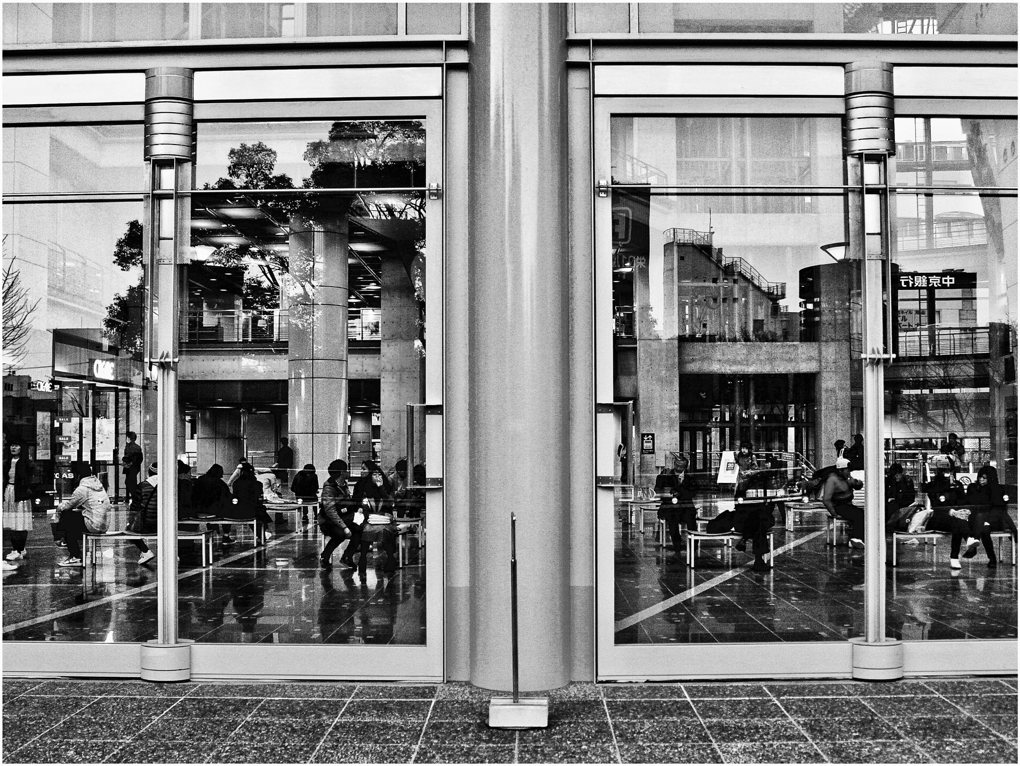 Canon EOS 500D (EOS Rebel T1i / EOS Kiss X3) sample photo. When you see beauty anywhere, it's a reflection of yourself. photography