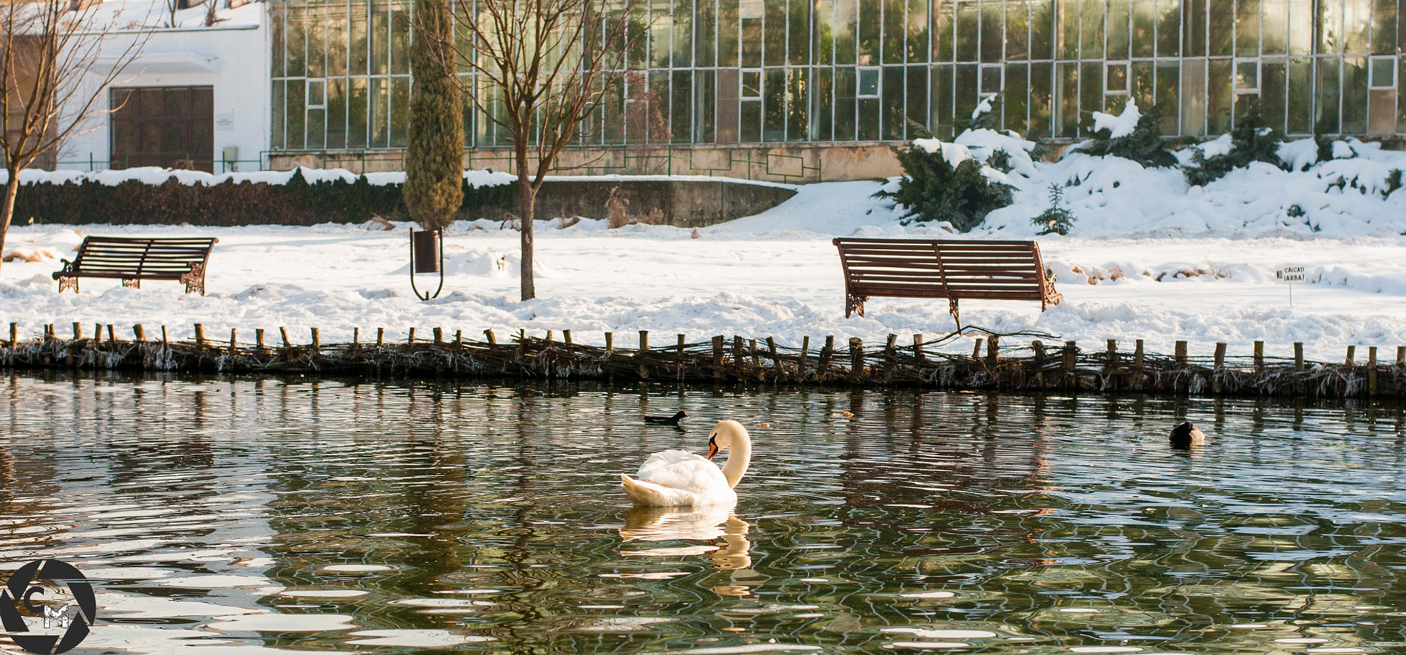 Nikon D300 + Nikon AF-S Nikkor 50mm F1.8G sample photo. Dsc photography