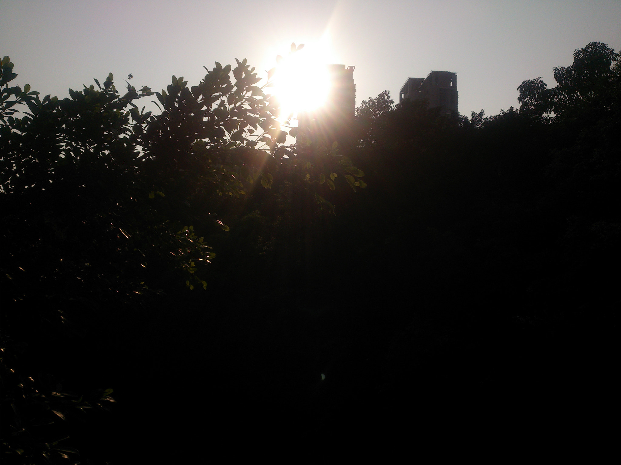 Sony Xperia T sample photo