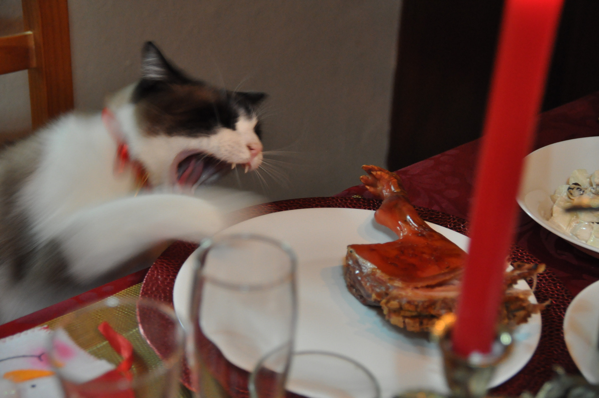 Sigma 18-200mm F3.5-6.3 II DC OS HSM sample photo. Buon appetito! photography