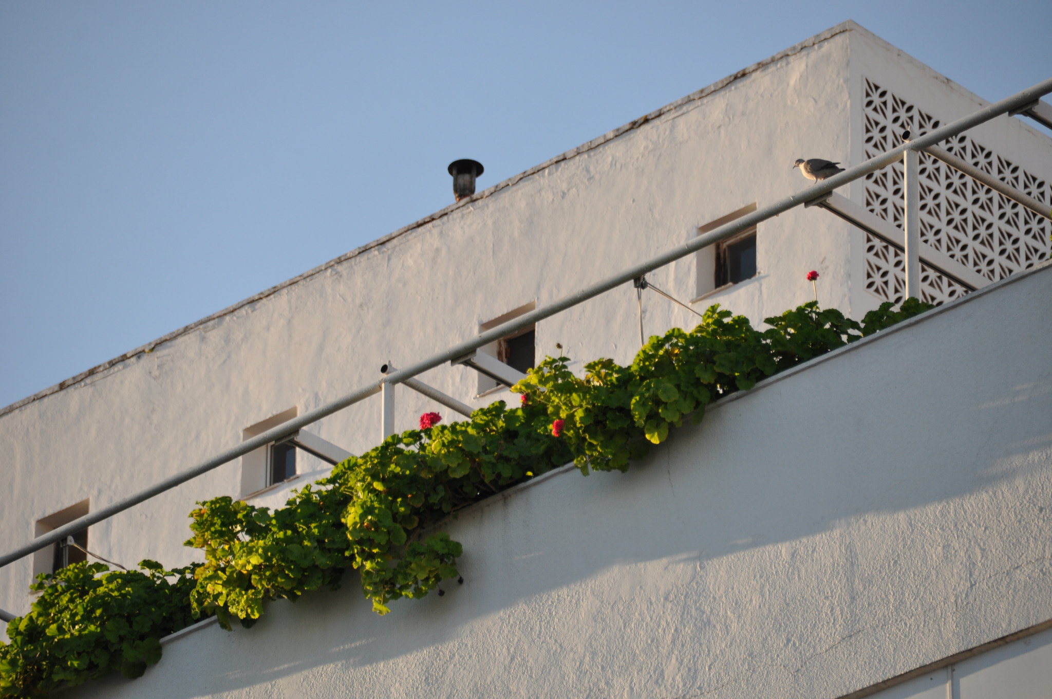 Nikon D90 + Sigma 18-200mm F3.5-6.3 II DC OS HSM sample photo. Andalusian roof photography