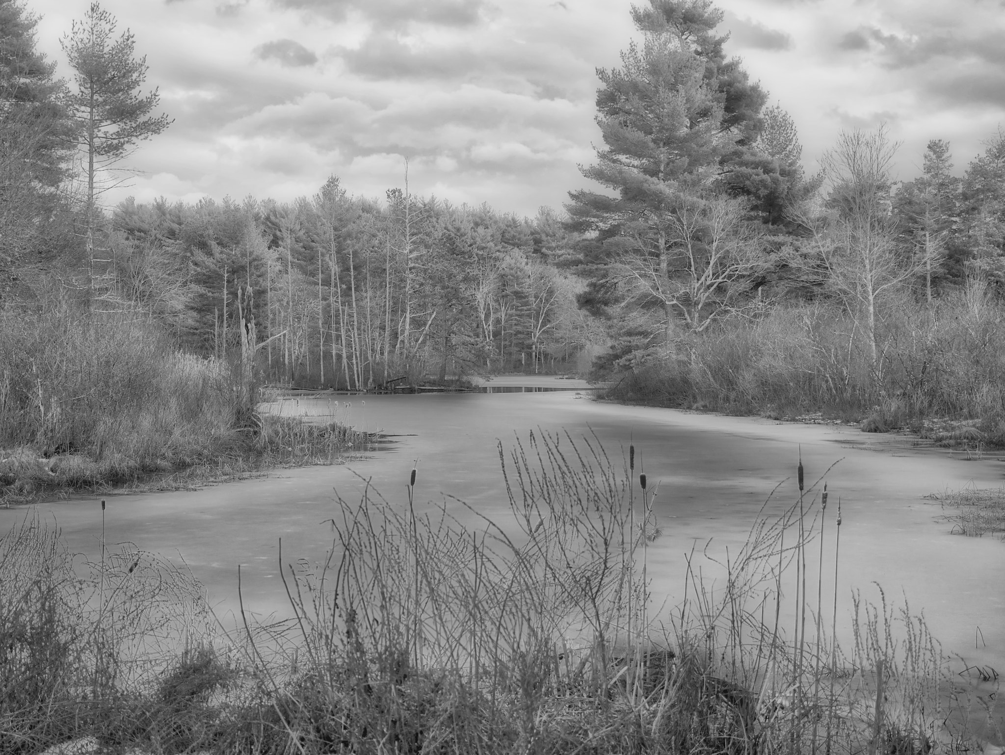 Panasonic Lumix G X Vario 12-35mm F2.8 ASPH Power OIS sample photo. Great brook farm photography