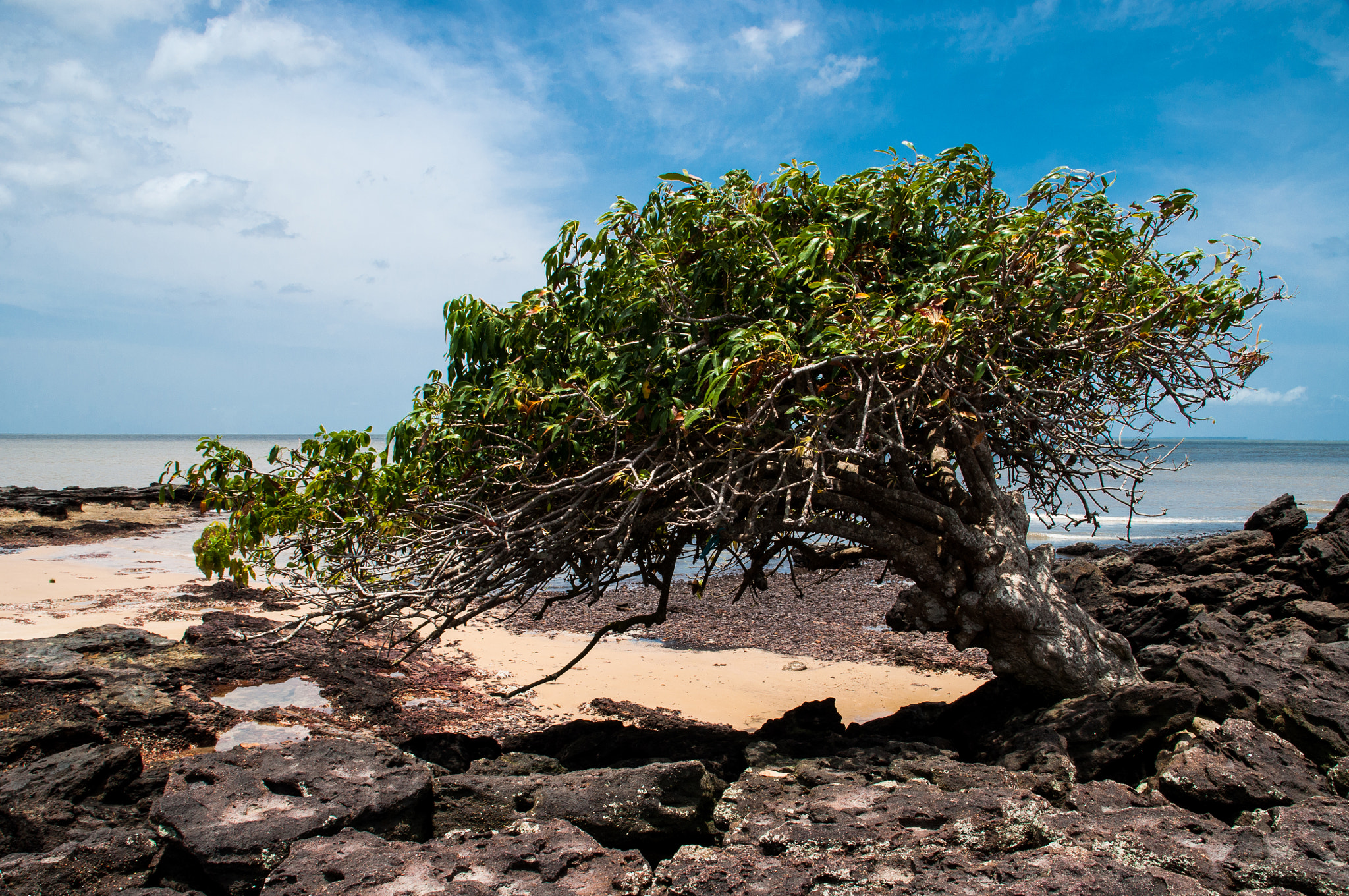 Nikon D5000 + Sigma 18-200mm F3.5-6.3 DC sample photo. Mosqueiro photography