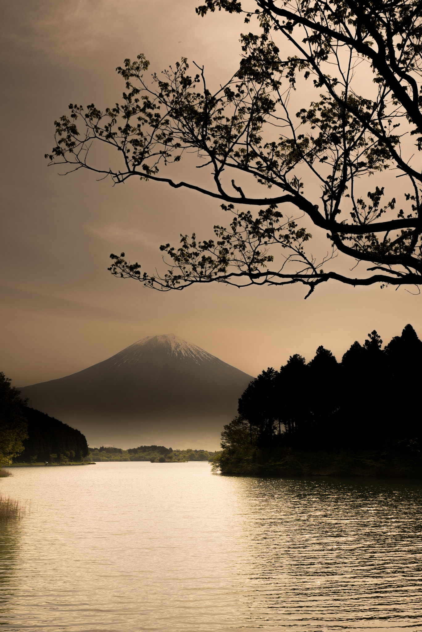 Sony a7S II + Sony Vario-Tessar T* FE 16-35mm F4 ZA OSS sample photo. 春の終わりに photography