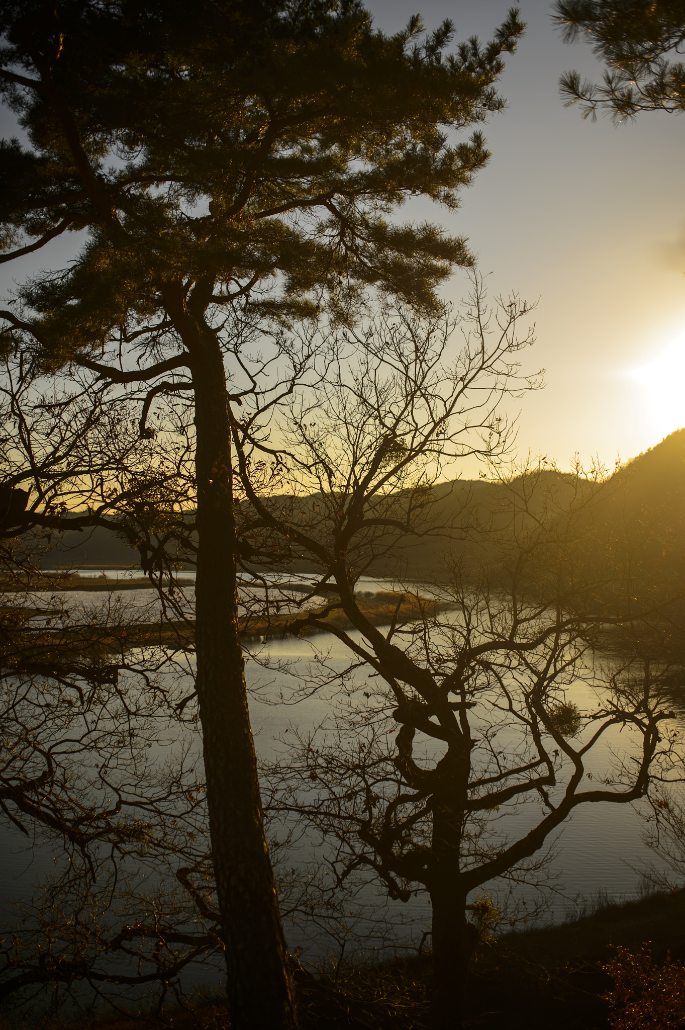 Nikon D4 + Sigma 35mm F1.4 DG HSM Art sample photo. Sunset photography