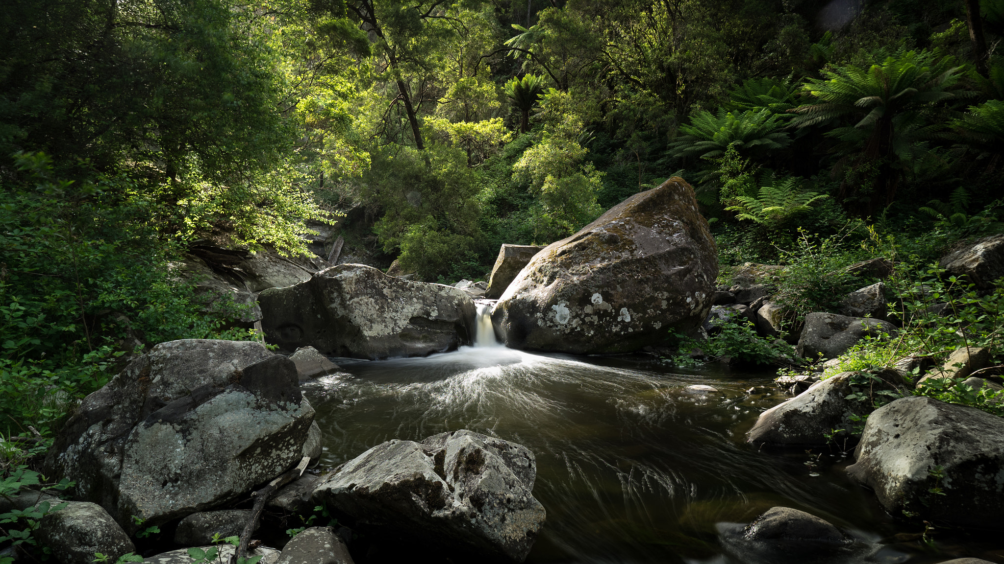 Olympus OM-D E-M1 + Olympus M.Zuiko Digital ED 7-14mm F2.8 PRO sample photo. Cumberland river, lorne, victoria photography