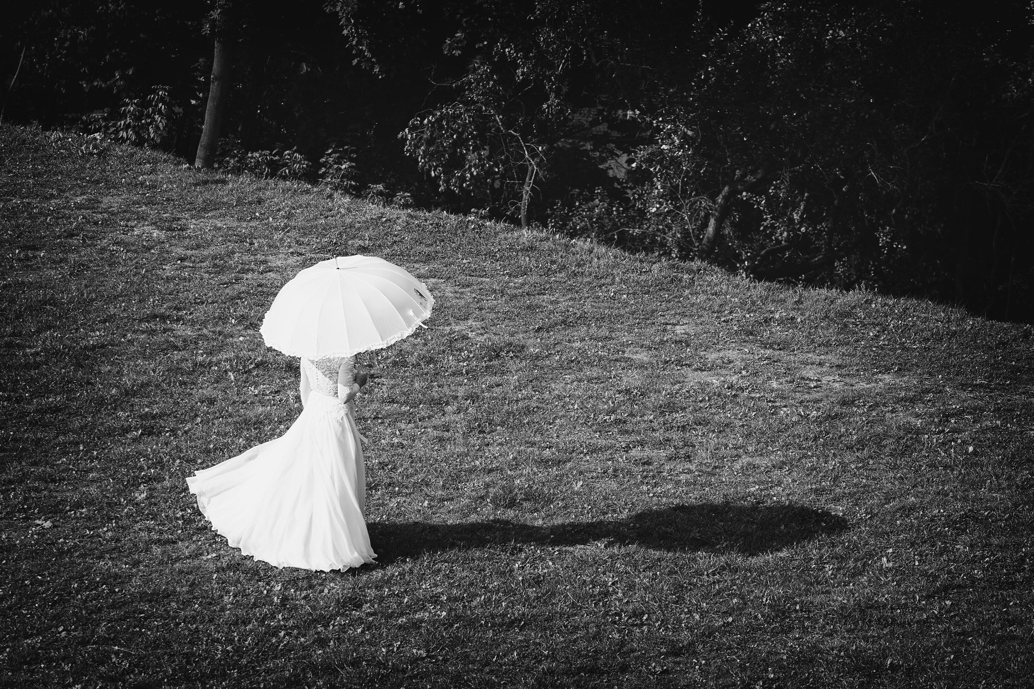 Canon EF 80-200mm f/2.8L sample photo. Sunlight photography