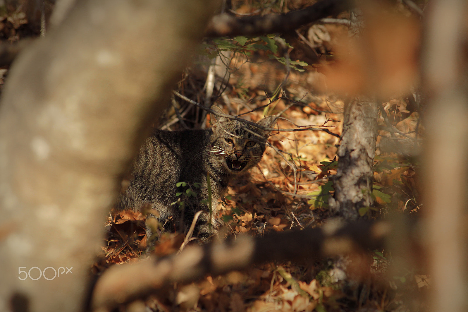Canon EF 28-105mm f/3.5-4.5 USM sample photo. Warning photography