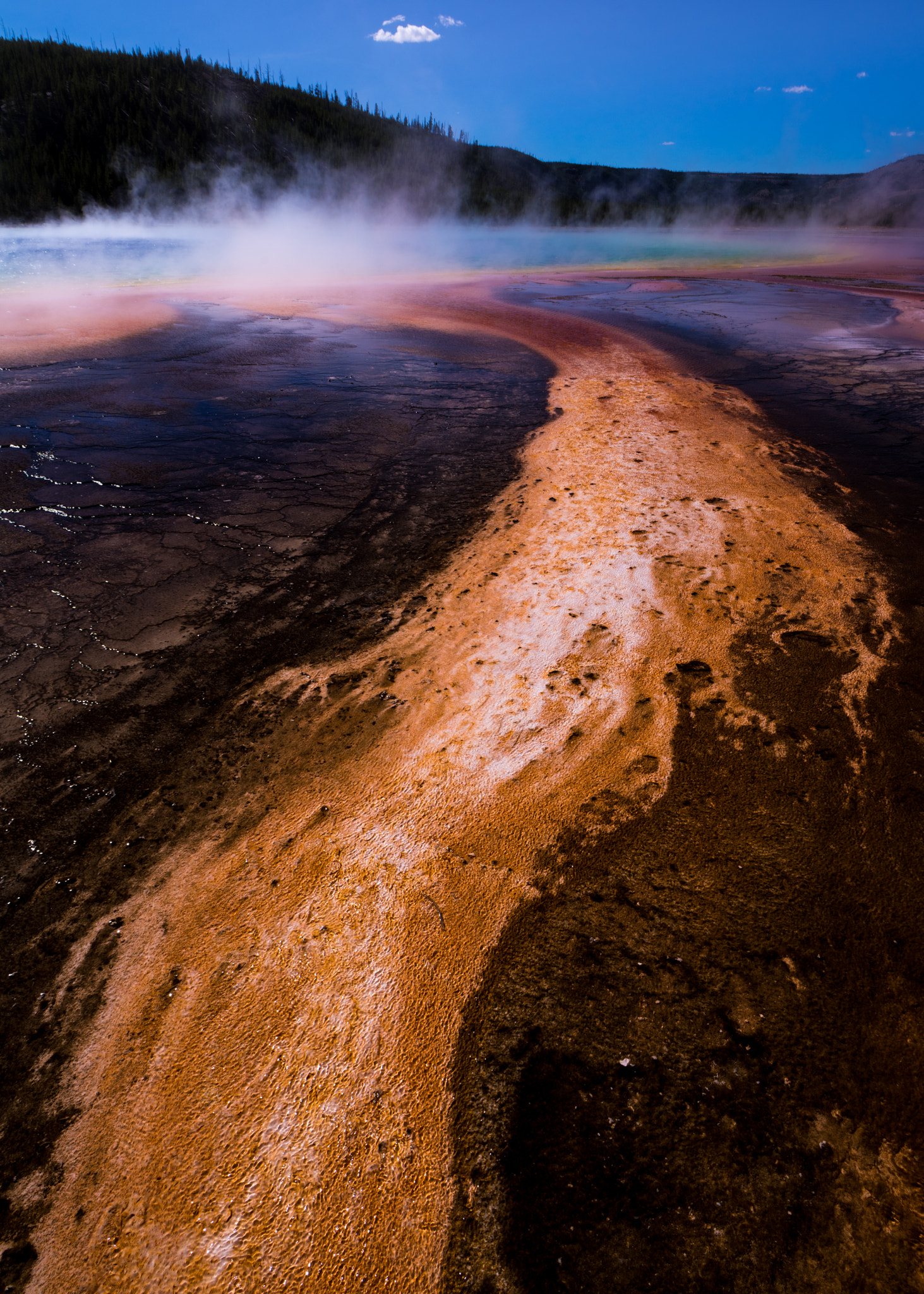 Nikon D810 + Nikon AF Nikkor 20mm F2.8D sample photo. River of gold photography