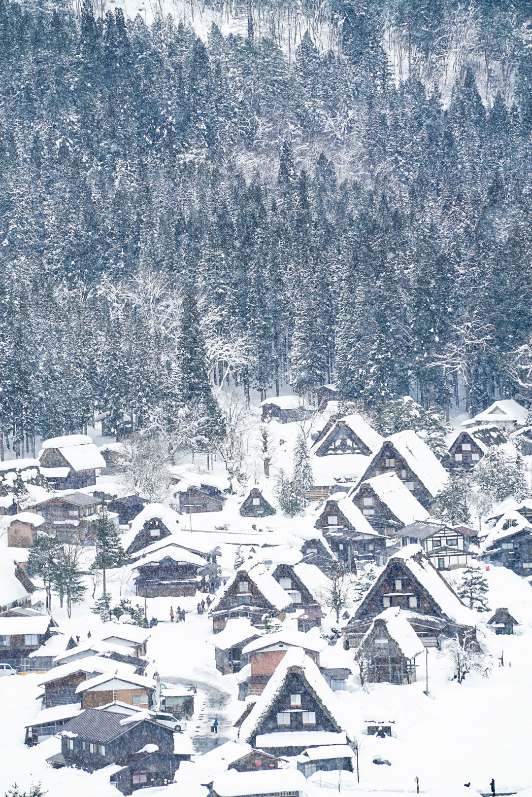 Sony a7S II sample photo. Shirakawa-go photography