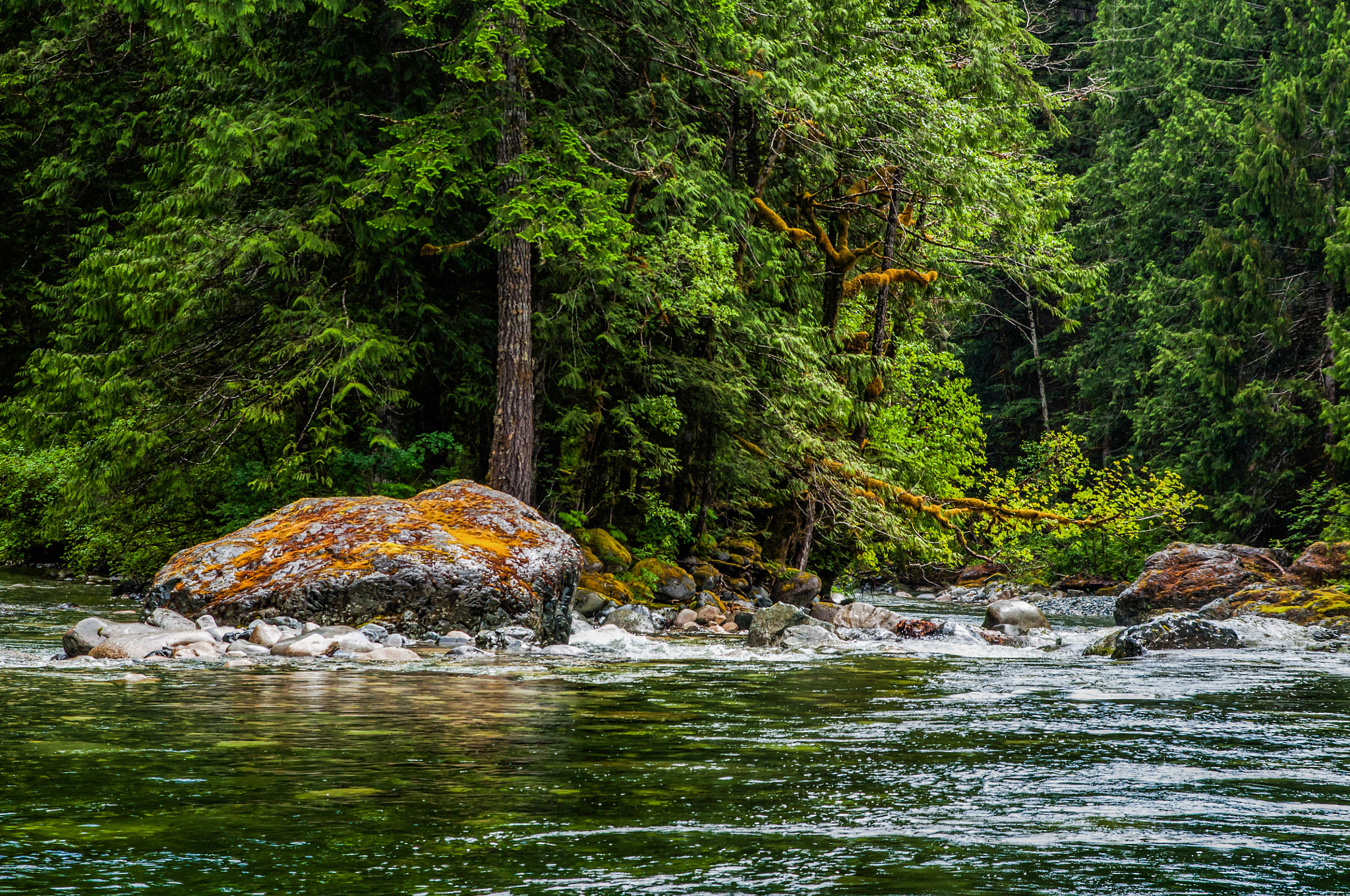 Sigma 17-70mm F2.8-4 DC Macro OS HSM sample photo. Gold river photography