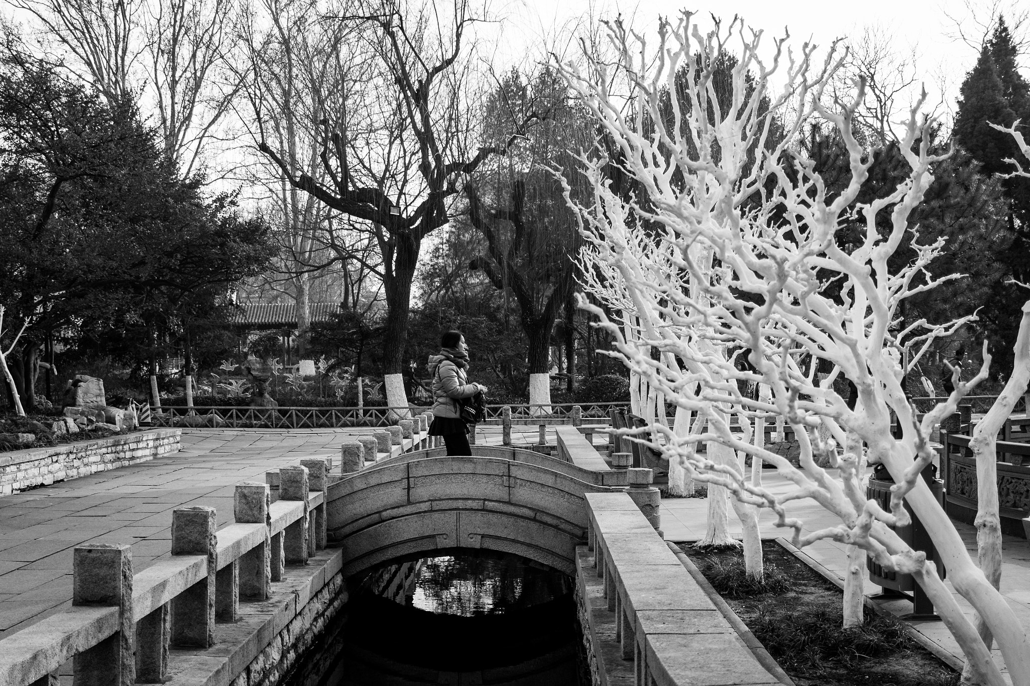 Canon EF-S 24mm F2.8 STM sample photo. The bridge photography