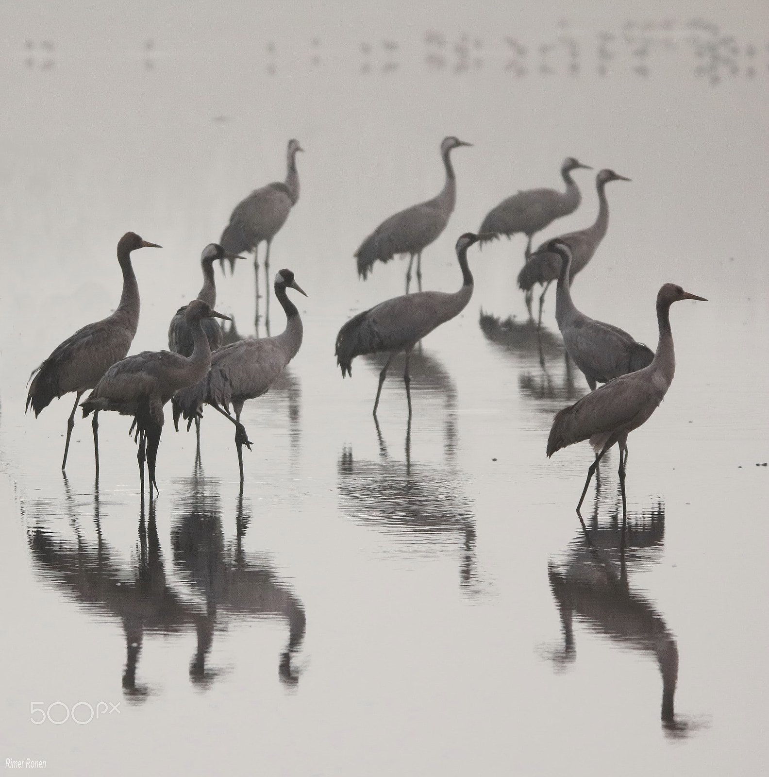 Tamron SP 150-600mm F5-6.3 Di VC USD sample photo. Sunrise photography