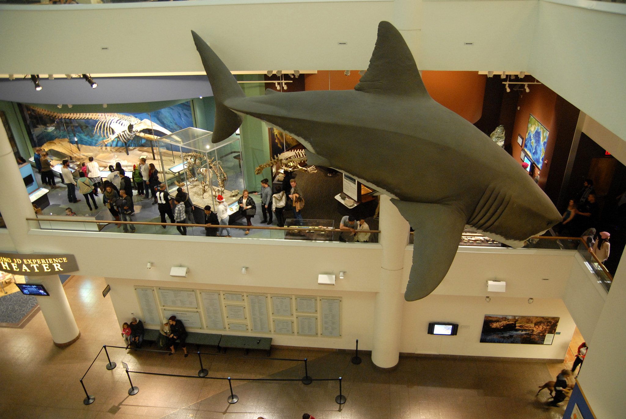 Nikon D200 sample photo. San diego natural history museum photography