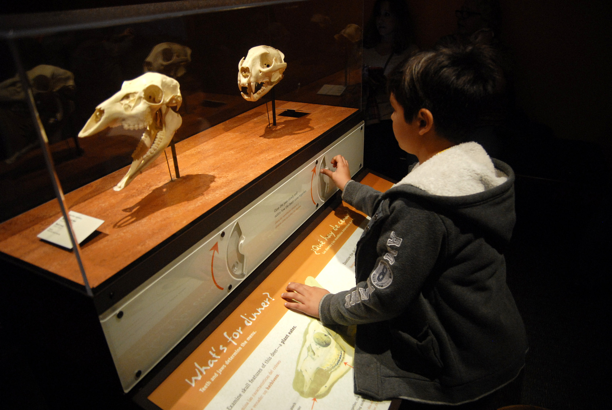 Nikon D200 sample photo. Boy and interactive exhibit at a museum photography