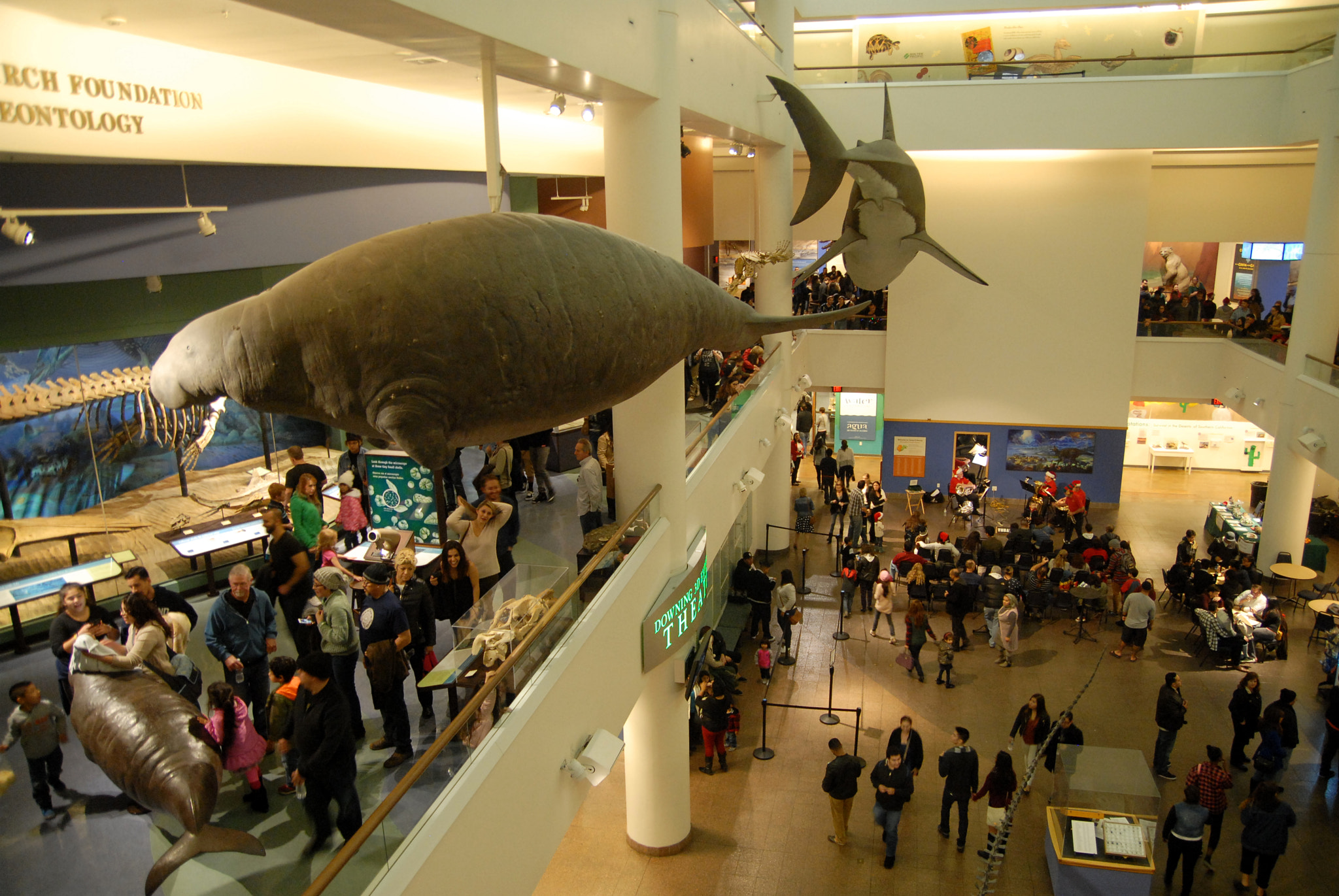 Nikon D200 sample photo. San diego natural history museum photography