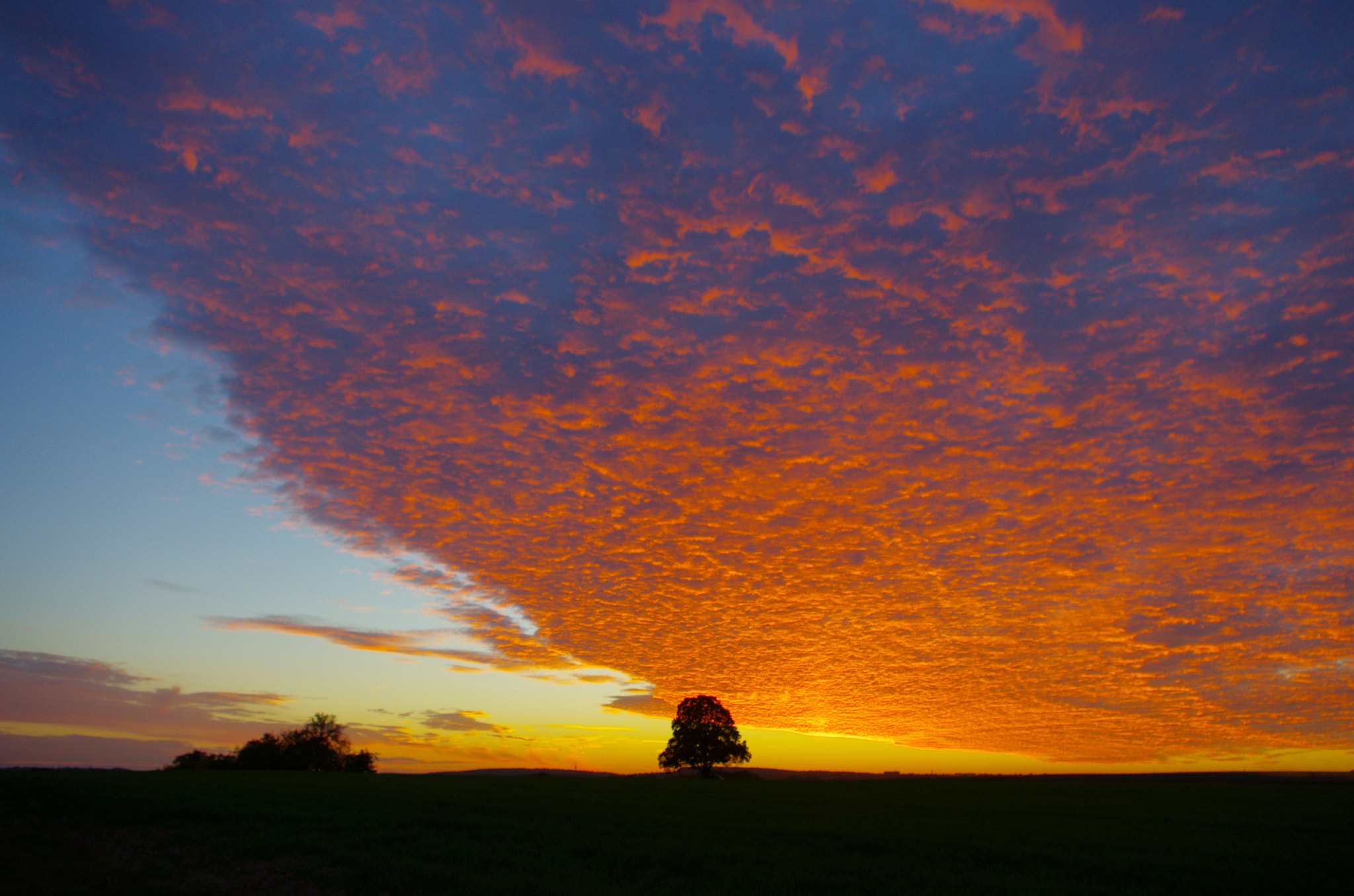 Pentax K-5 sample photo. Like fire in the sky! photography
