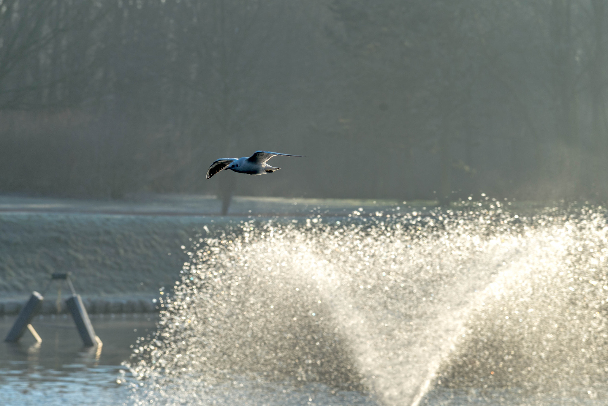 Nikon AF-S Nikkor 70-200mm F4G ED VR sample photo. Parc de la glissoire.avion.france. photography