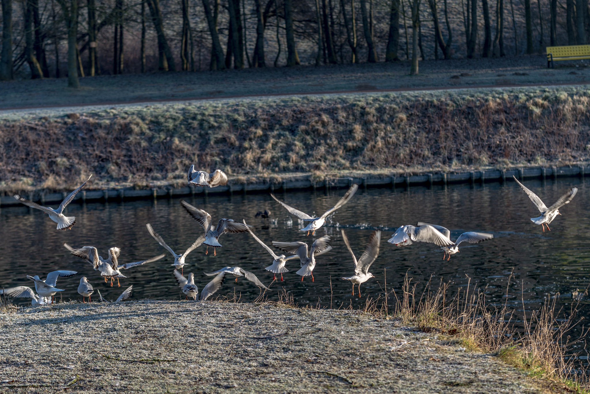Nikon AF-S Nikkor 70-200mm F4G ED VR sample photo. Parc de la glissoire.avion.france. photography