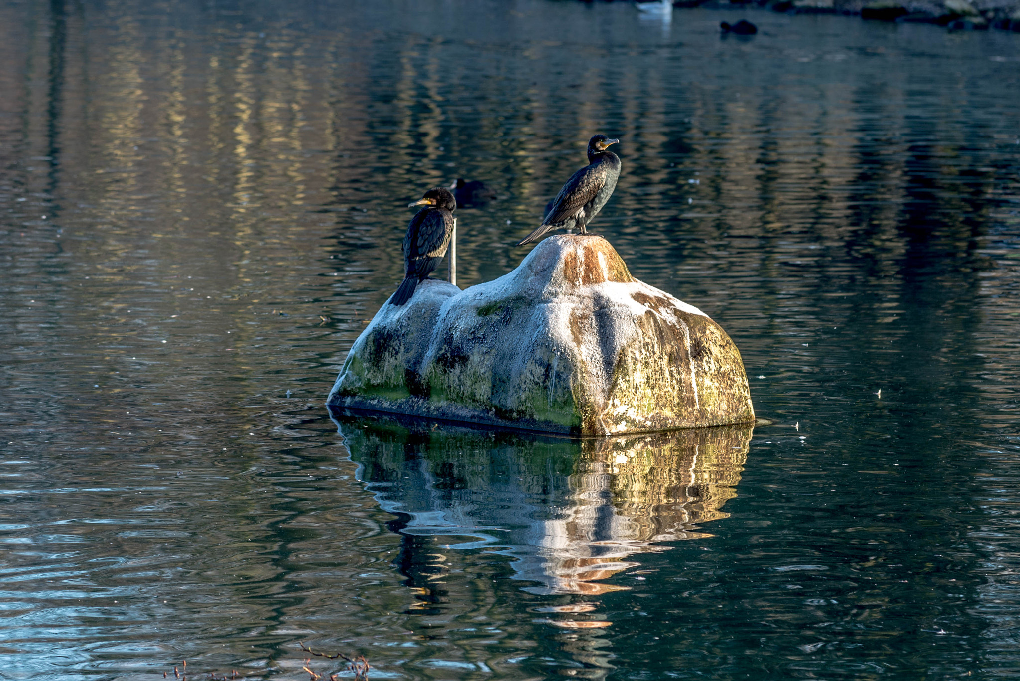 Nikon AF-S Nikkor 70-200mm F4G ED VR sample photo. Parc de la glissoire.avion.france. photography