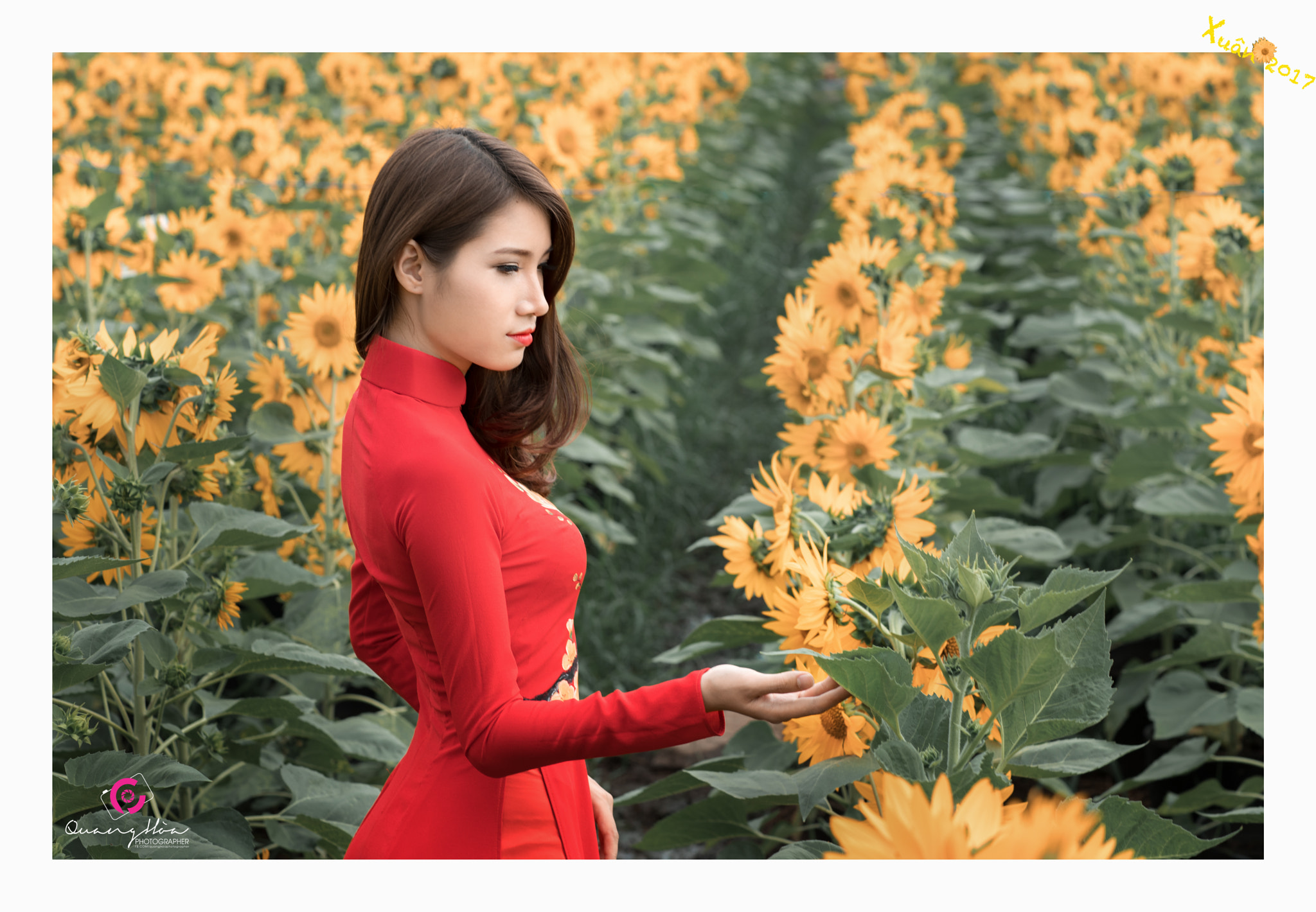 Canon EF 85mm F1.2L II USM sample photo. Qh photography