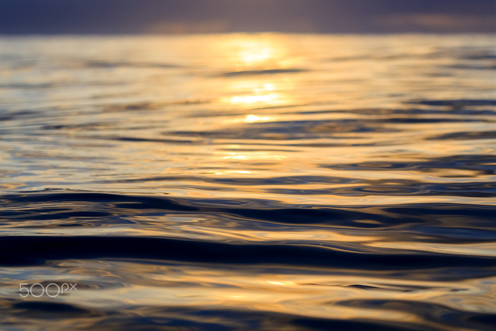 Canon EOS-1D Mark IV sample photo. Ocean oils photography