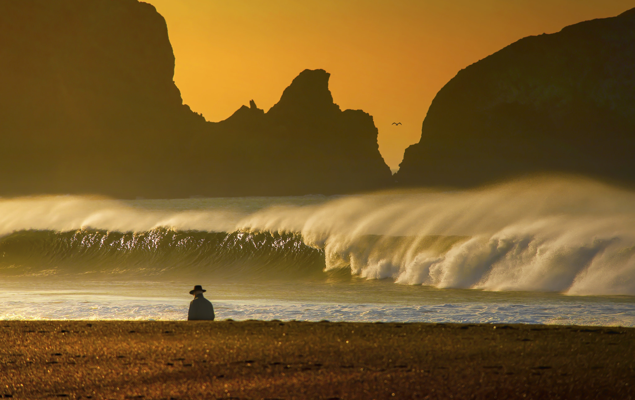 Nikon D800E + AF Nikkor 300mm f/4 IF-ED sample photo. Man on the beach photography