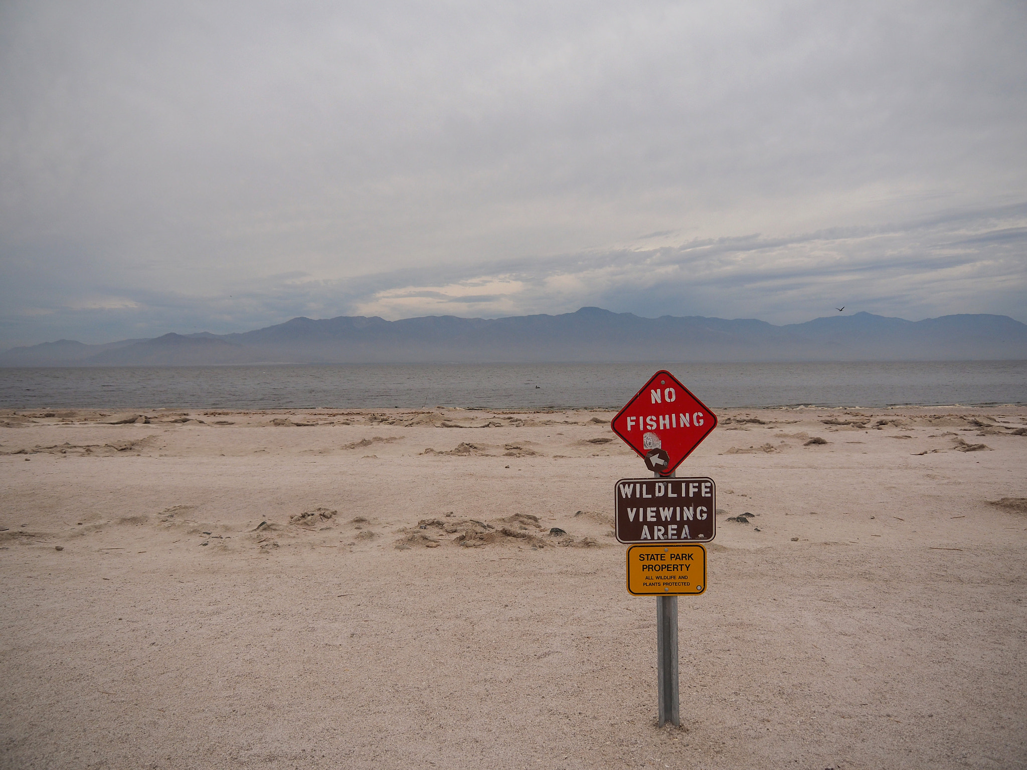 Olympus OM-D E-M5 II sample photo. Signs at the salton sea photography