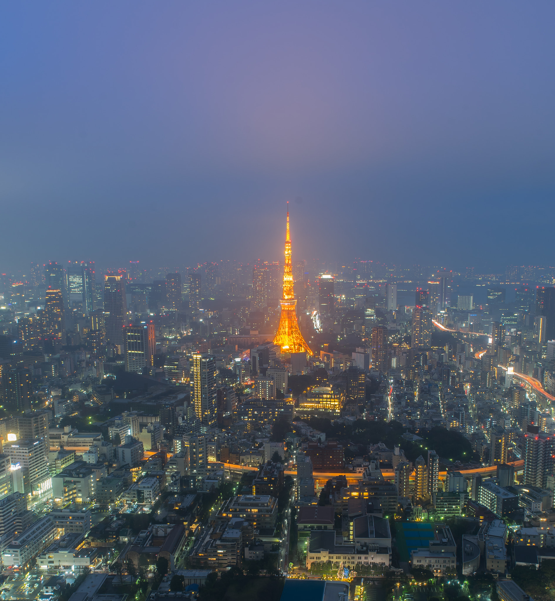 DT 24-70mm F2.8 SAM sample photo. Tokyo tower photography