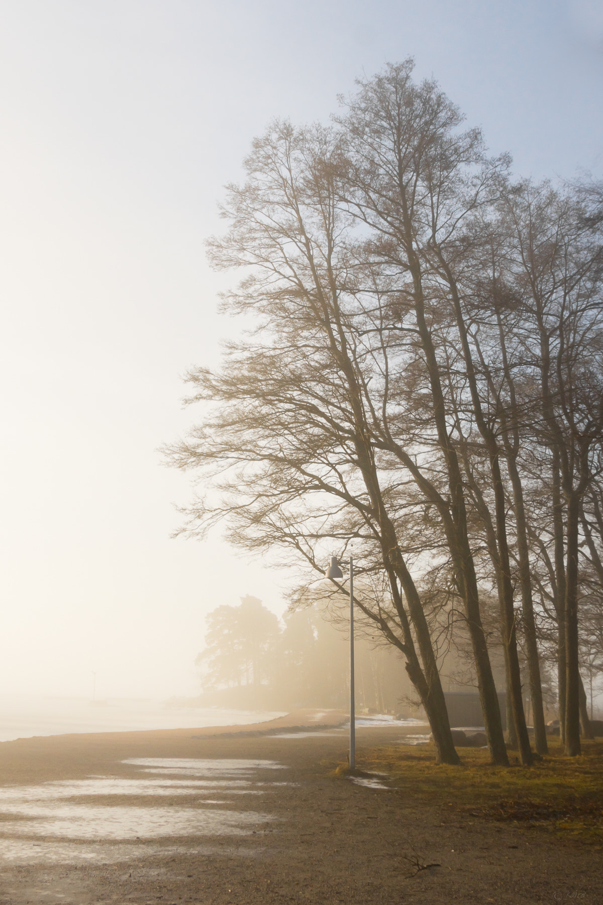 Sony SLT-A77 sample photo. Morning photography
