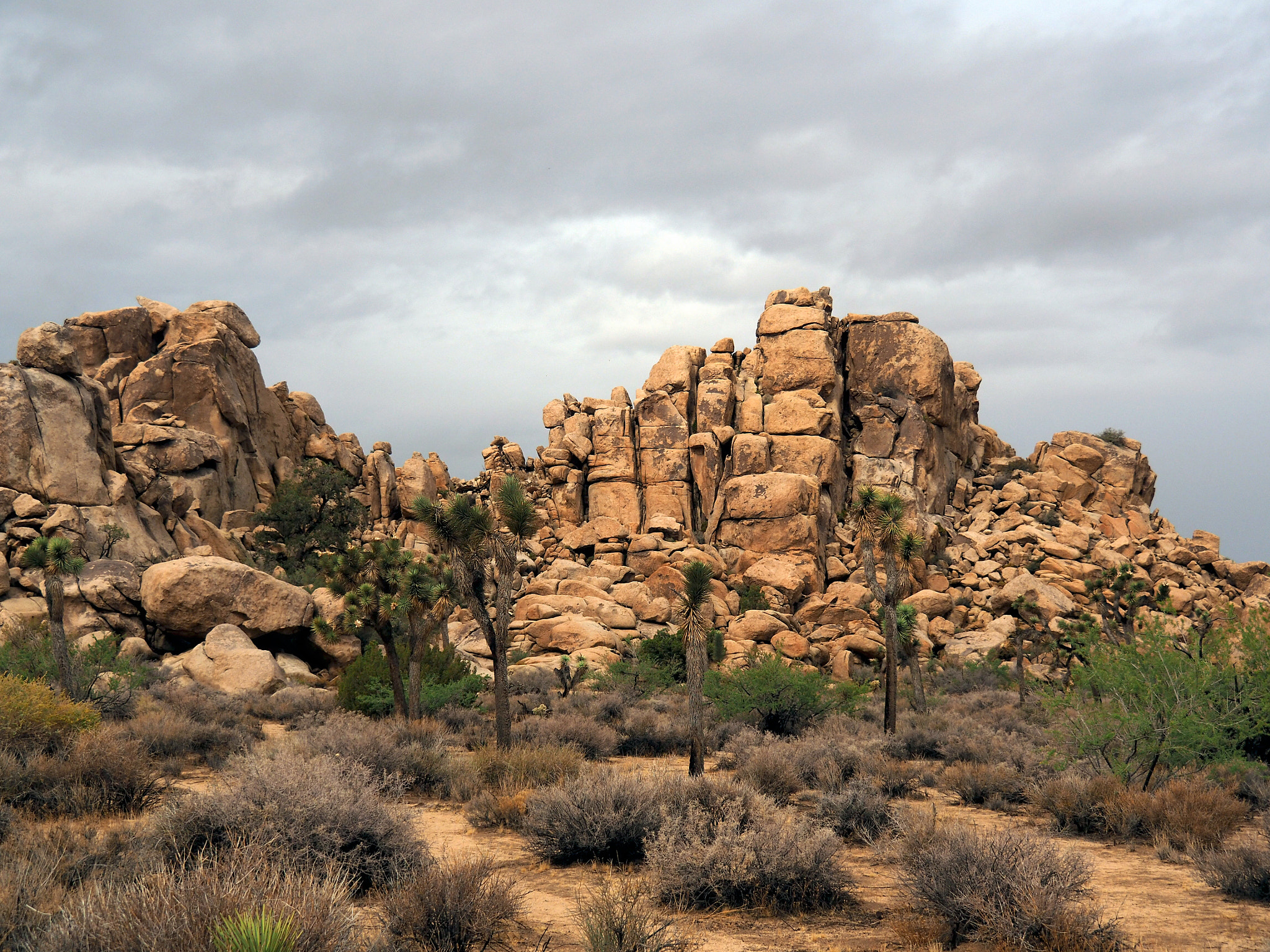 Olympus OM-D E-M5 II sample photo. Joshua tree national park - rock structure photography