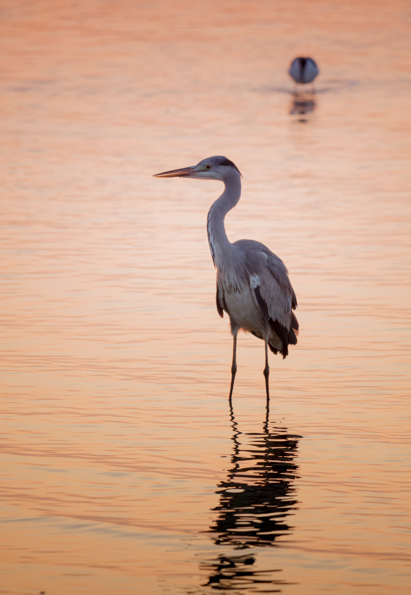 Canon EOS 5DS R sample photo