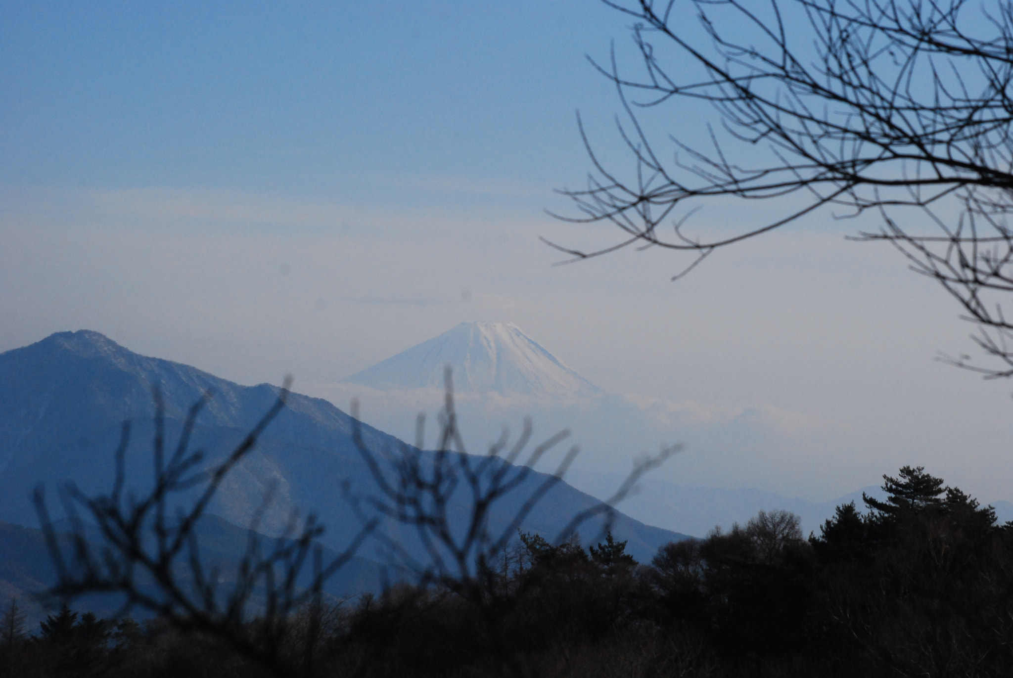 Nikon D40X sample photo