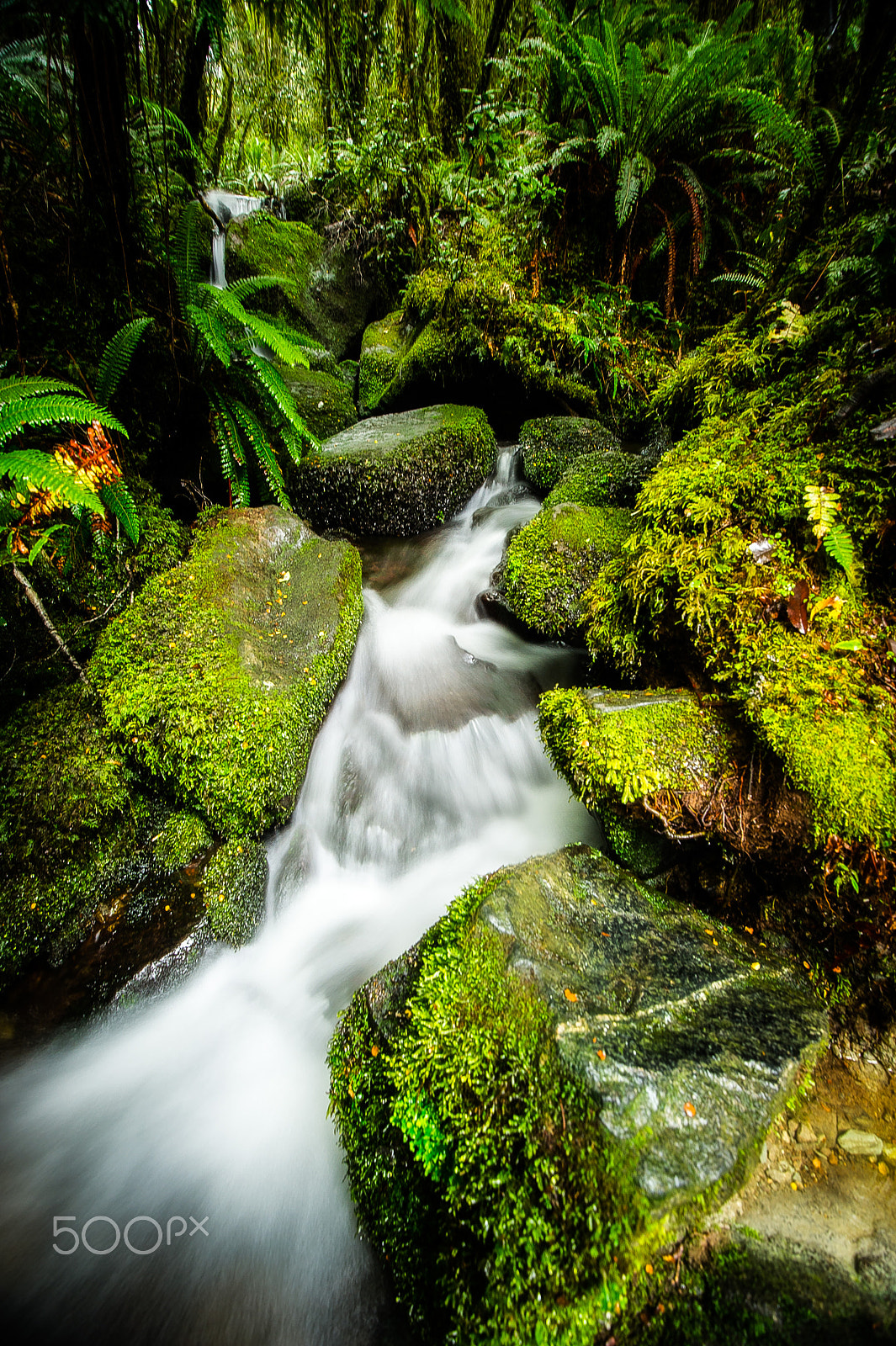 Nikon D3S sample photo. Tranquil photography