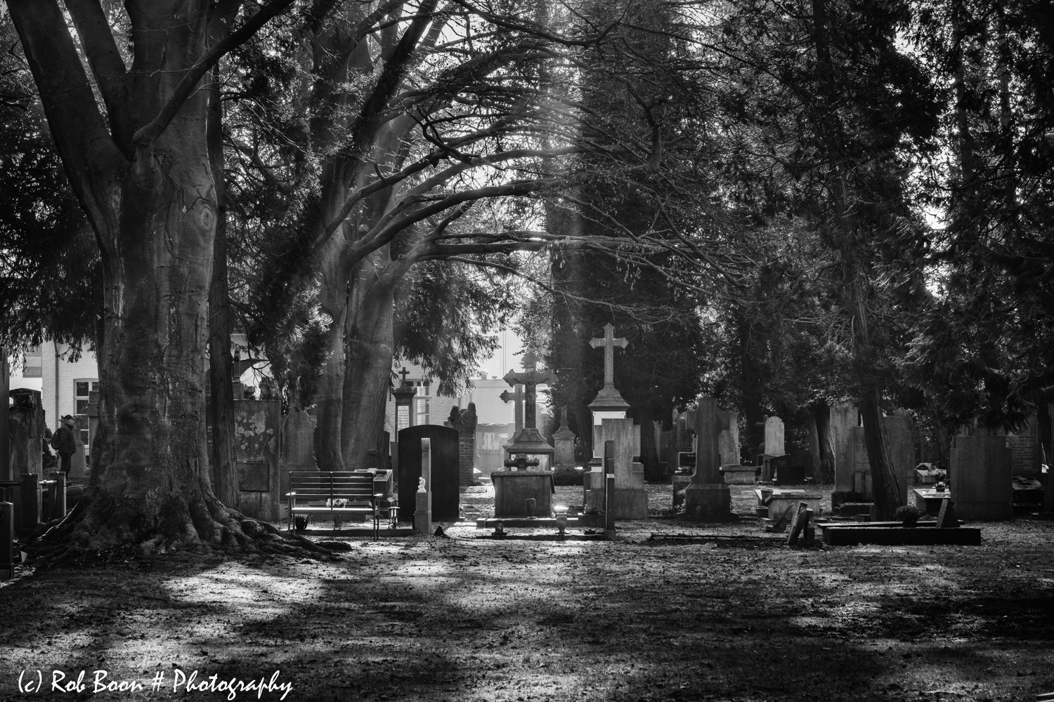Canon EOS 5DS sample photo. Cemetery tongerseweg @ maastricht 2 photography