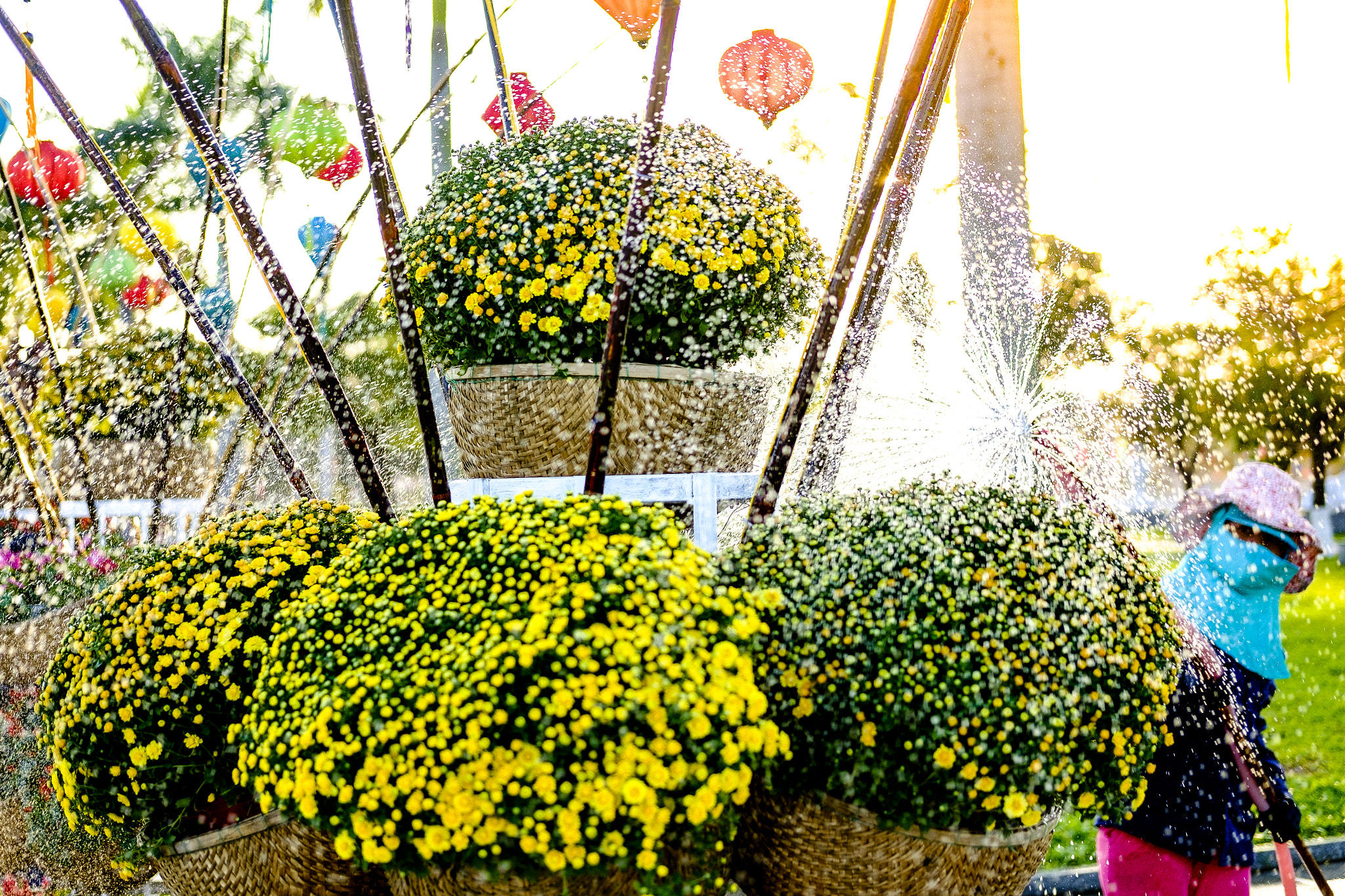 Fujifilm X-E2 + Fujifilm XF 35mm F2 R WR sample photo. Spring is coming photography