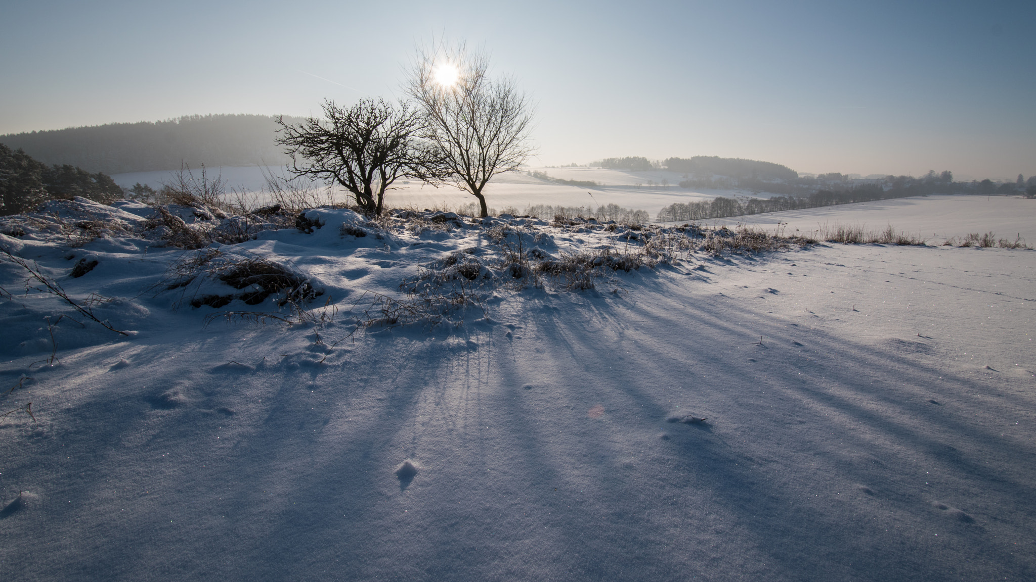 Nikon D5500 sample photo