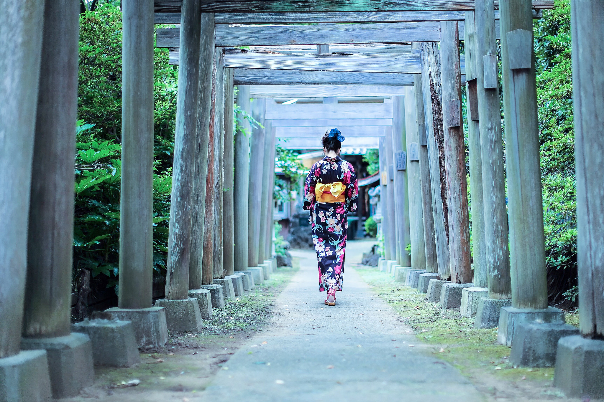 Canon EOS-1D X + Canon EF 50mm F1.2L USM sample photo