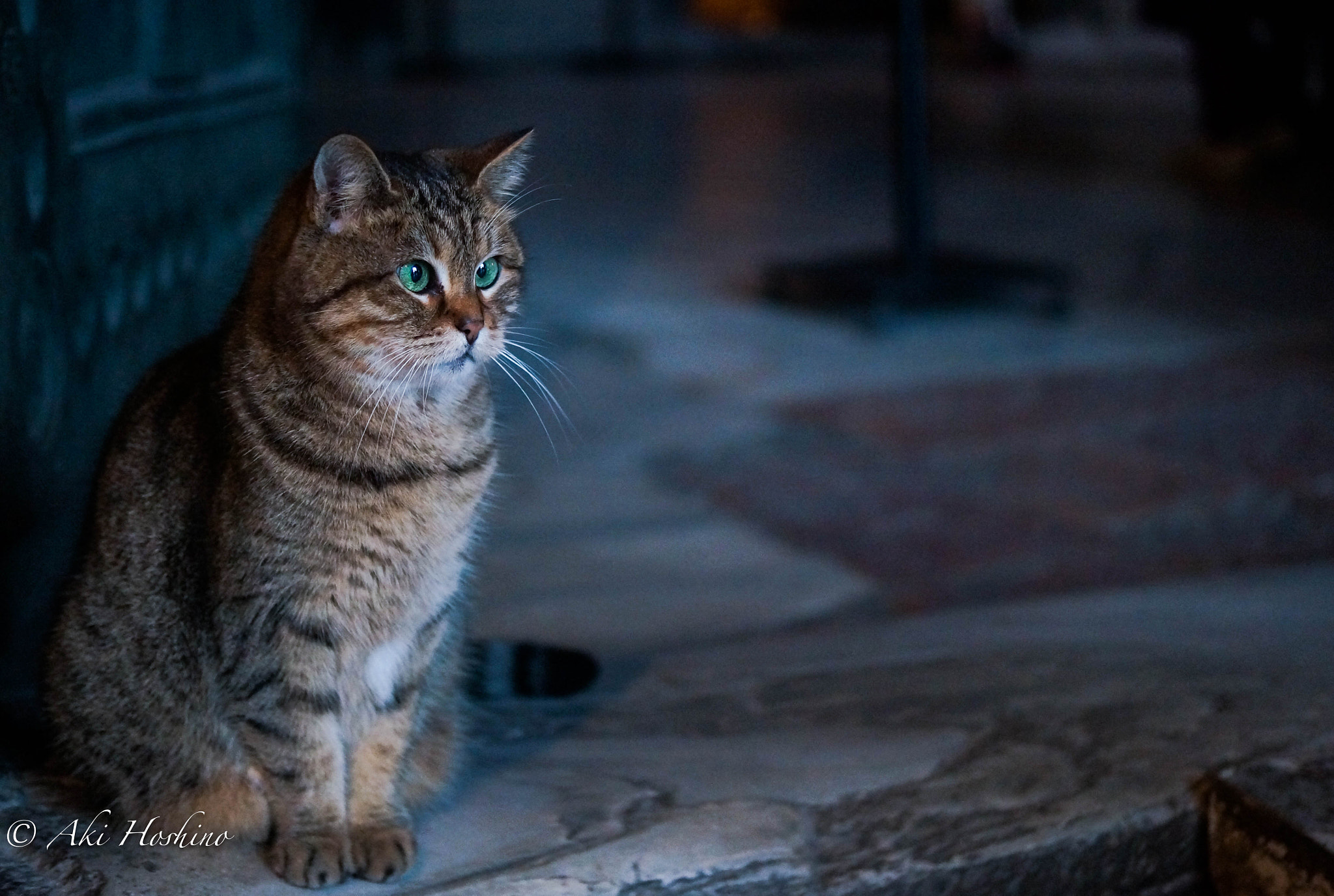 Sony DT 35mm F1.8 SAM sample photo. The guli in hagia sofia photography
