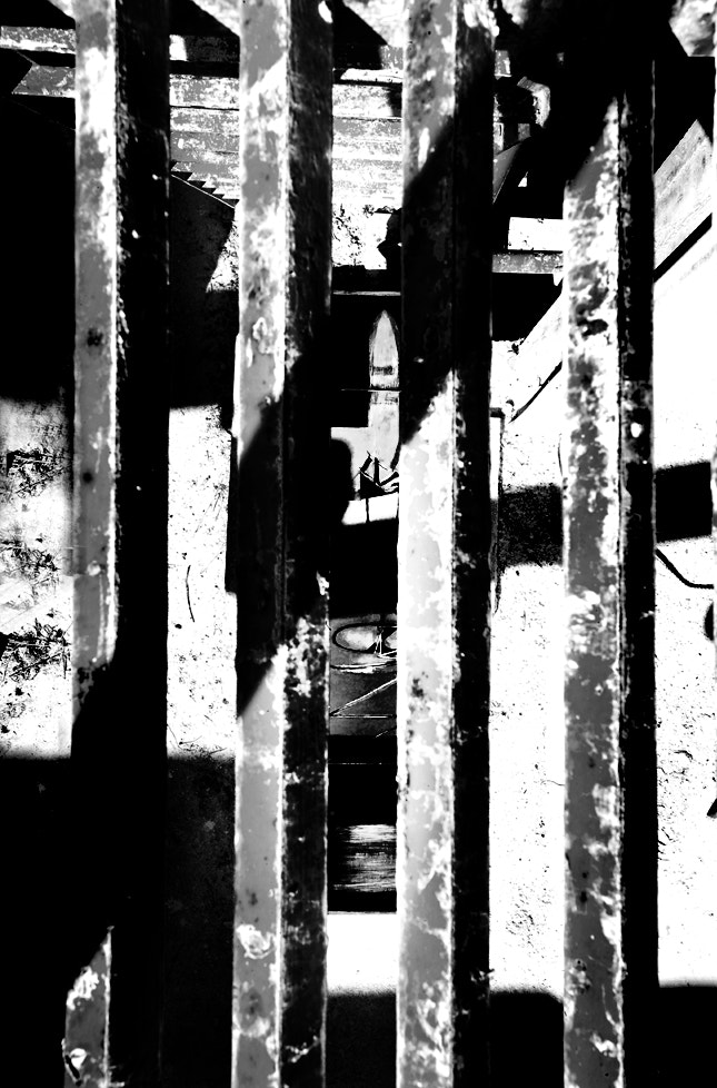 Kodak DCS Pro 14nx sample photo. Mostra fotografica photography